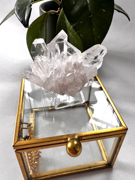 Brazilian Quartz Crystal Cluster #6