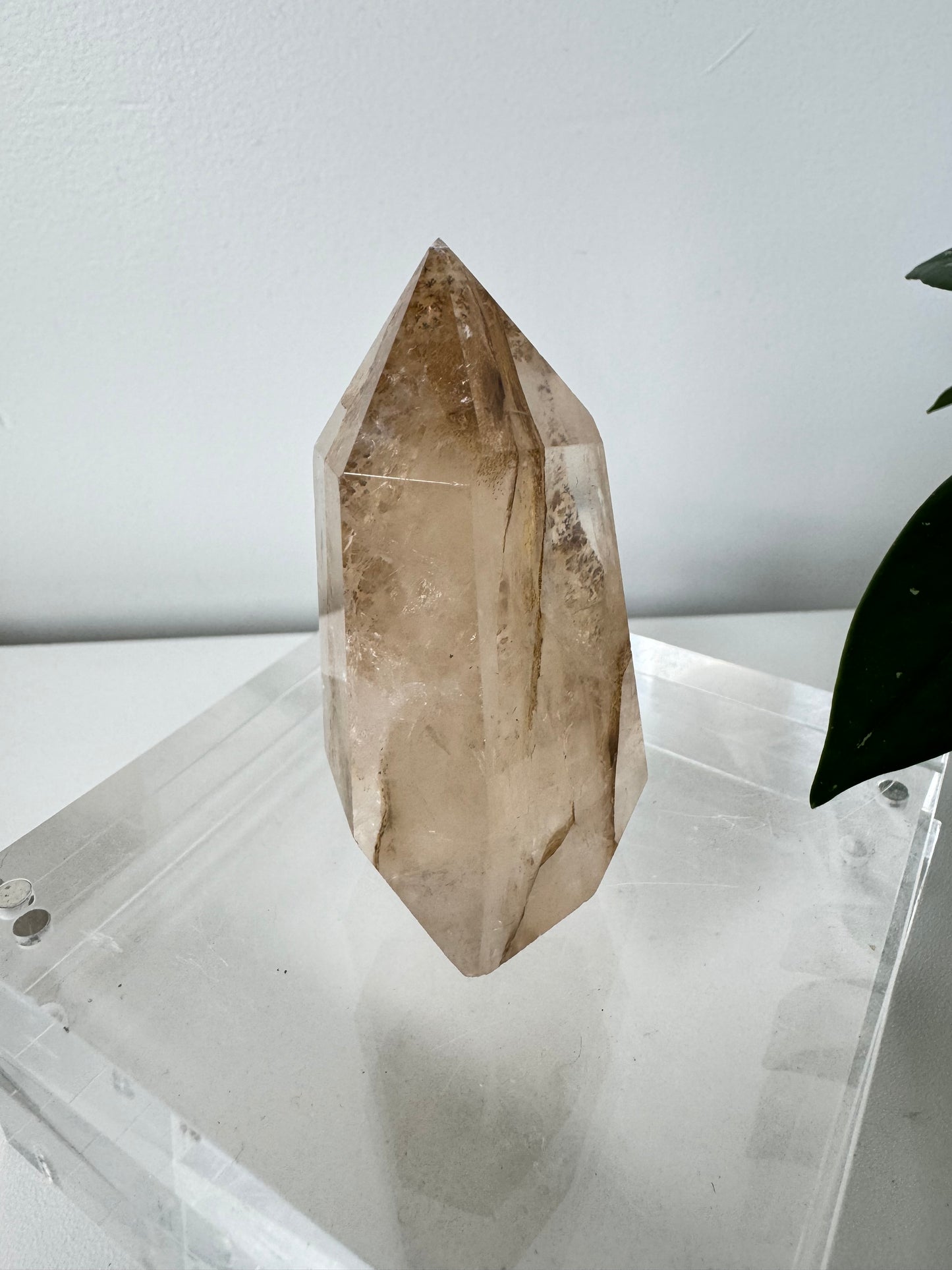 Dendritic Girasol Quartz Point