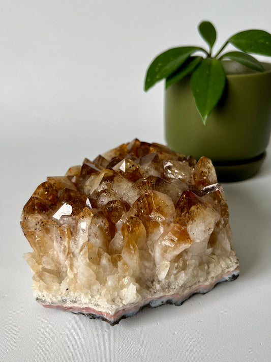 Natural Citrine Cluster