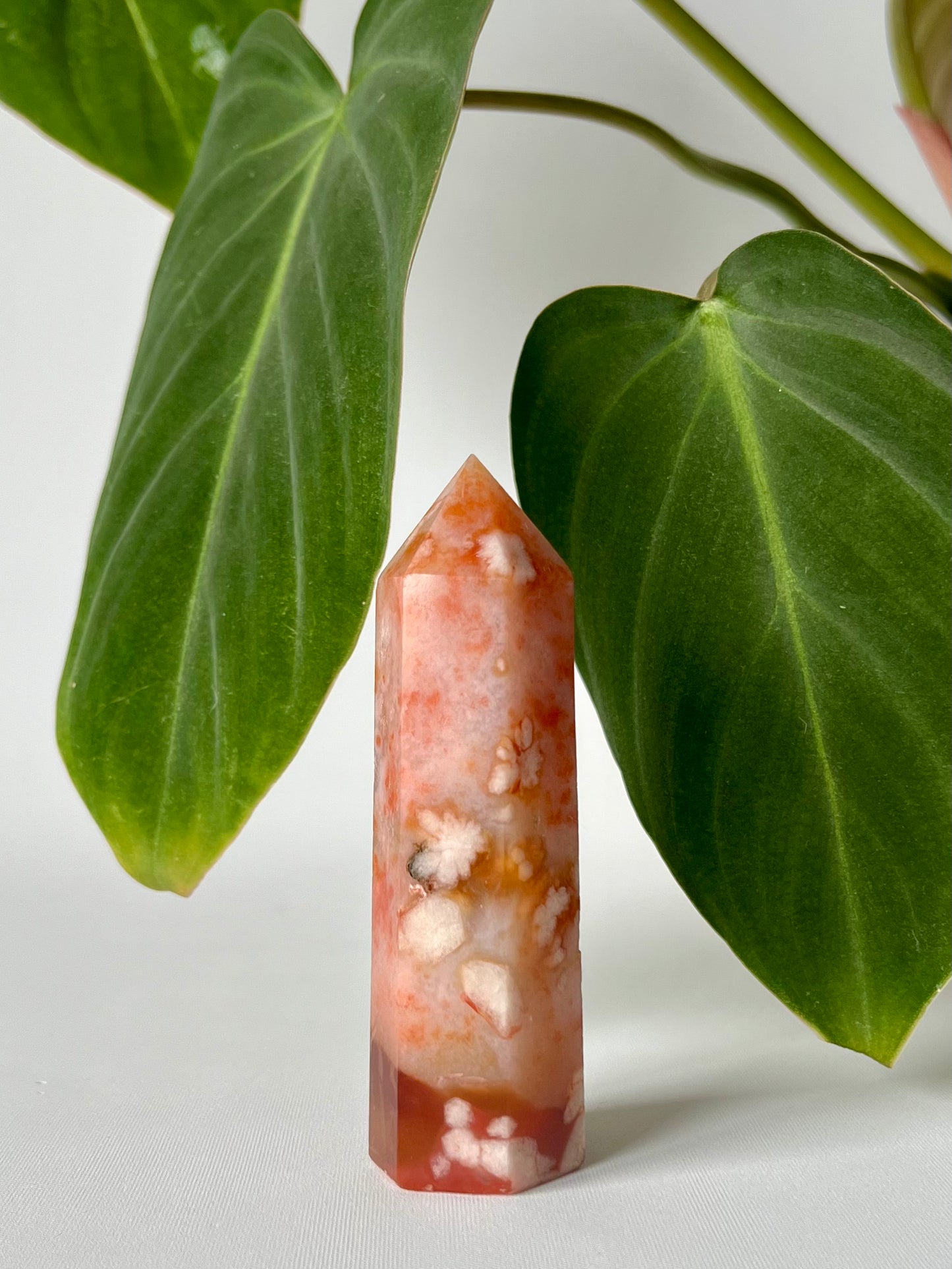 Flower Agate with Carnelian Point