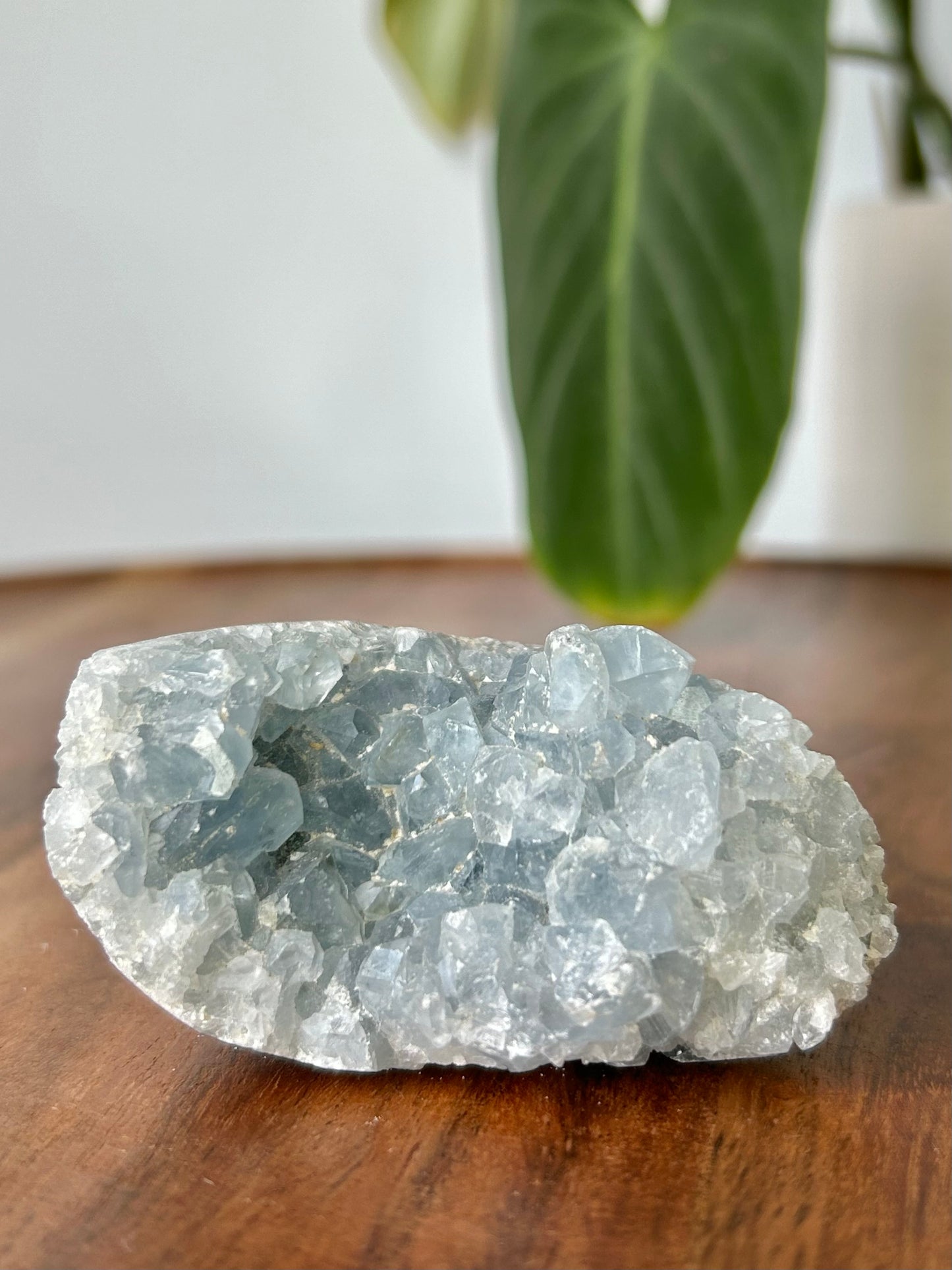 Celestite Druze Cluster #3