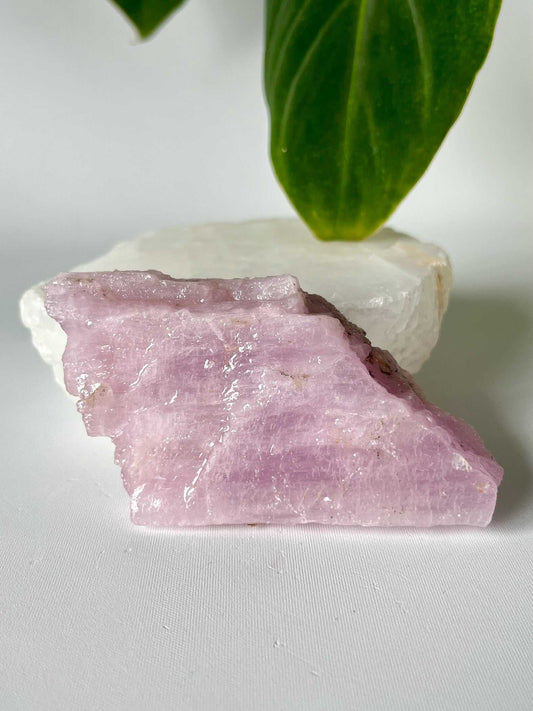 Raw Kunzite Crystal with soft pink hues, ideal for emotional healing and heart chakra balance | Bespoke Crystals