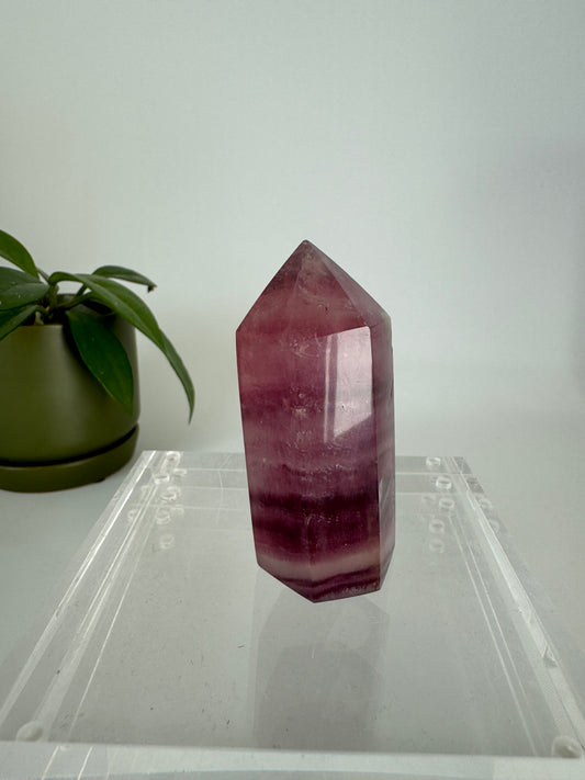 Magenta Fluorite Point