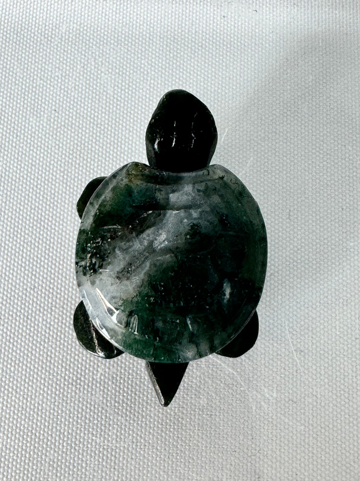 Turtle Carving