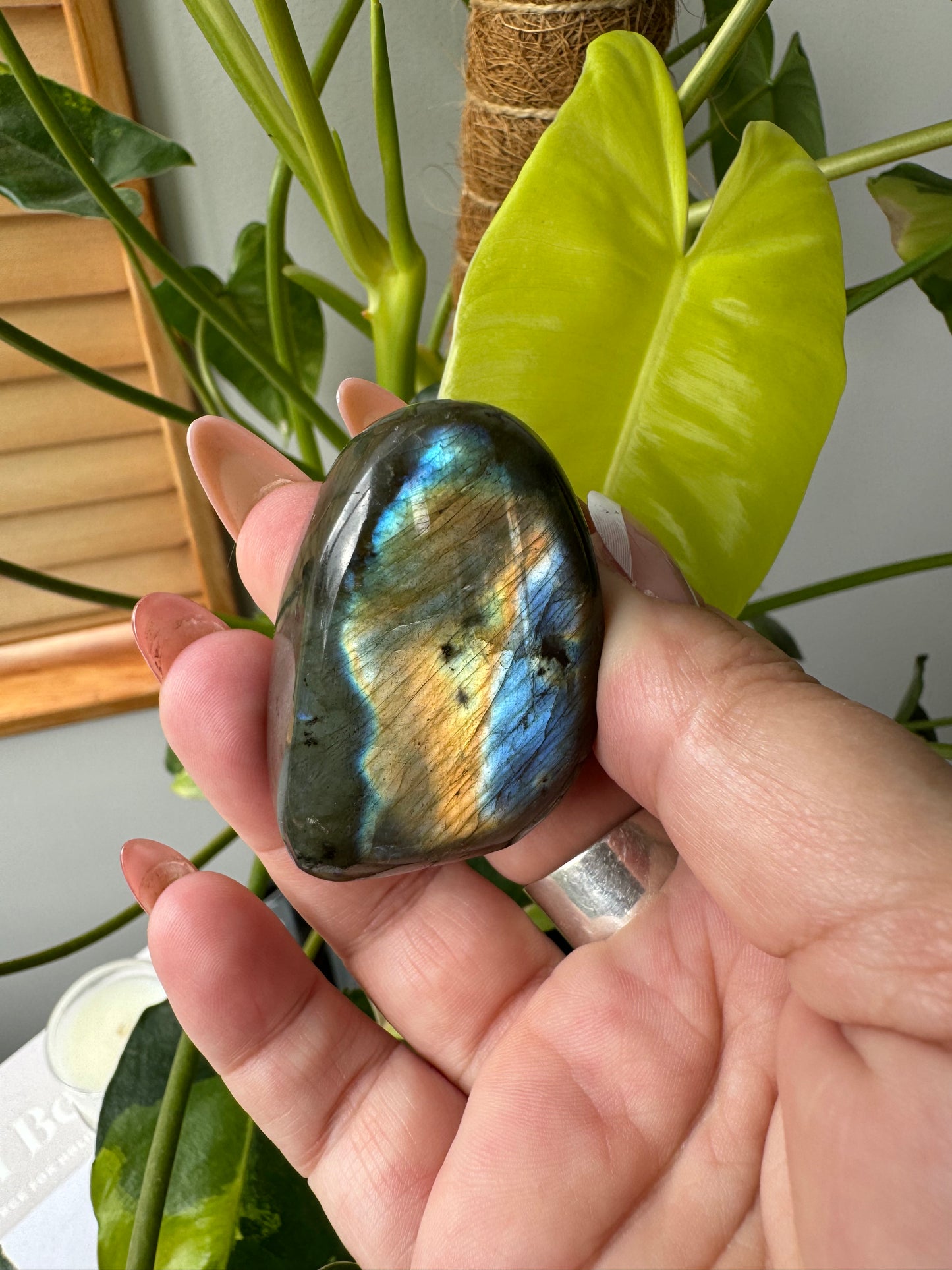 HQ Labradorite Freeform L024