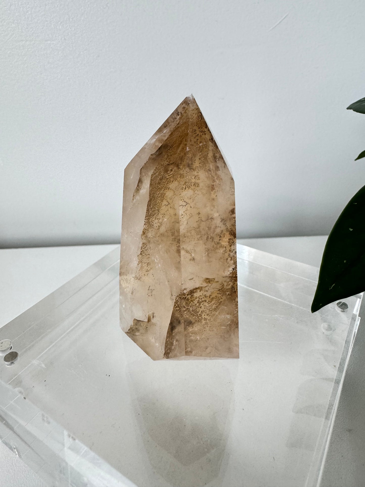 Dendritic Girasol Quartz Point