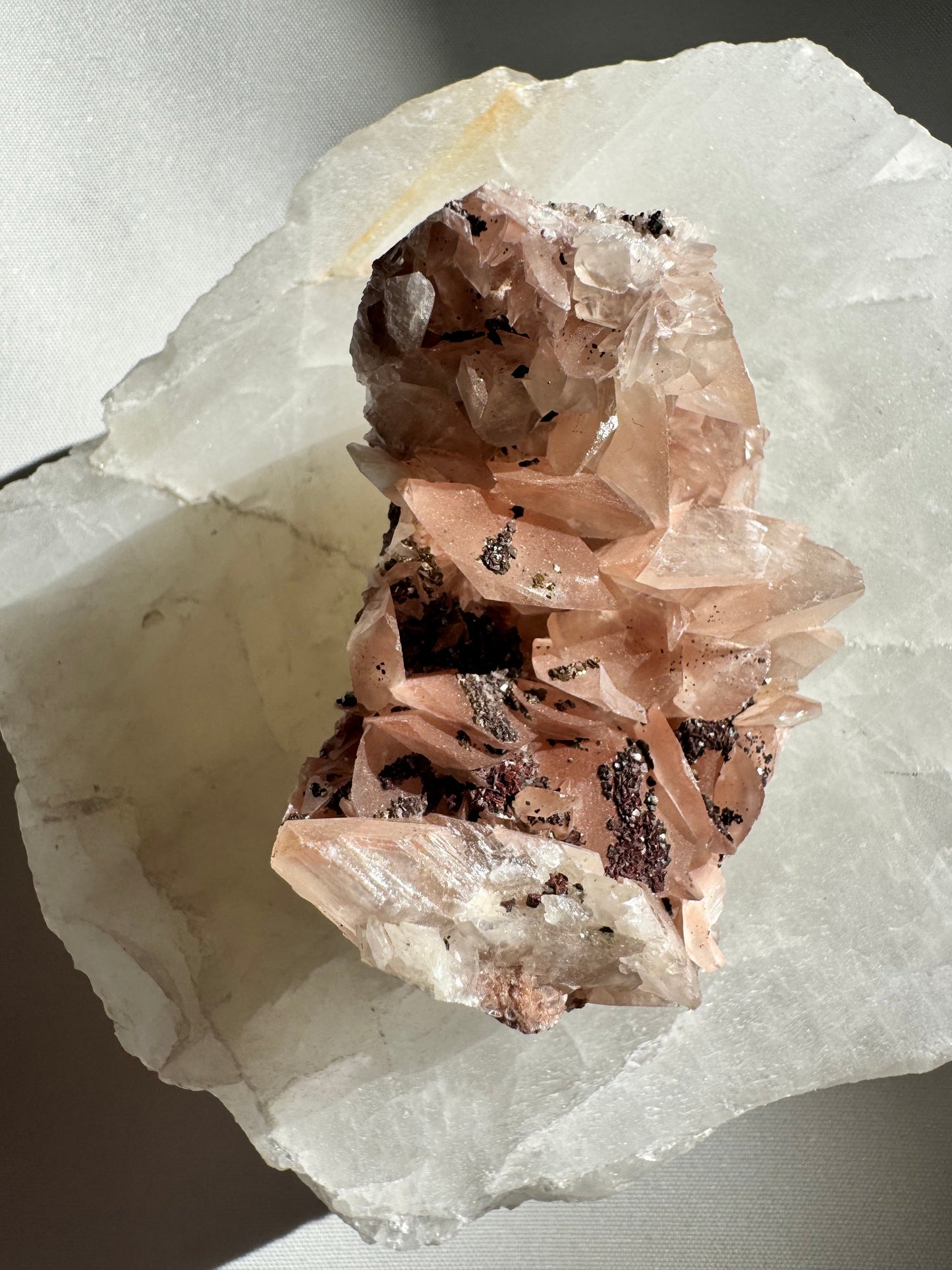 Rare Pink Benz Calcite Crystal with Chalcopyrite #4 collectible gemstone displaying radiant pink calcite blades and metallic chalcopyrite highlights.