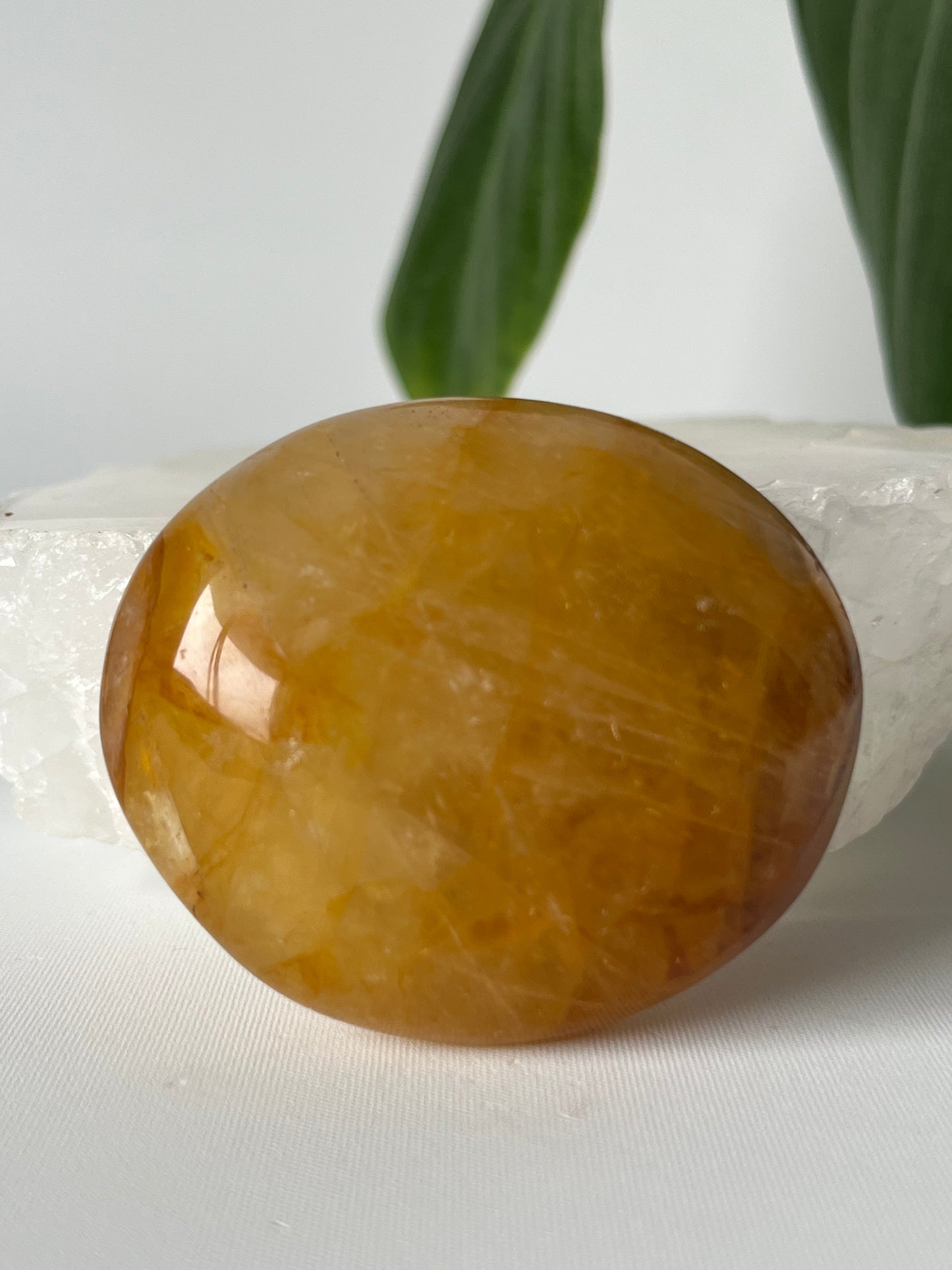 Golden Healer Palm Stone