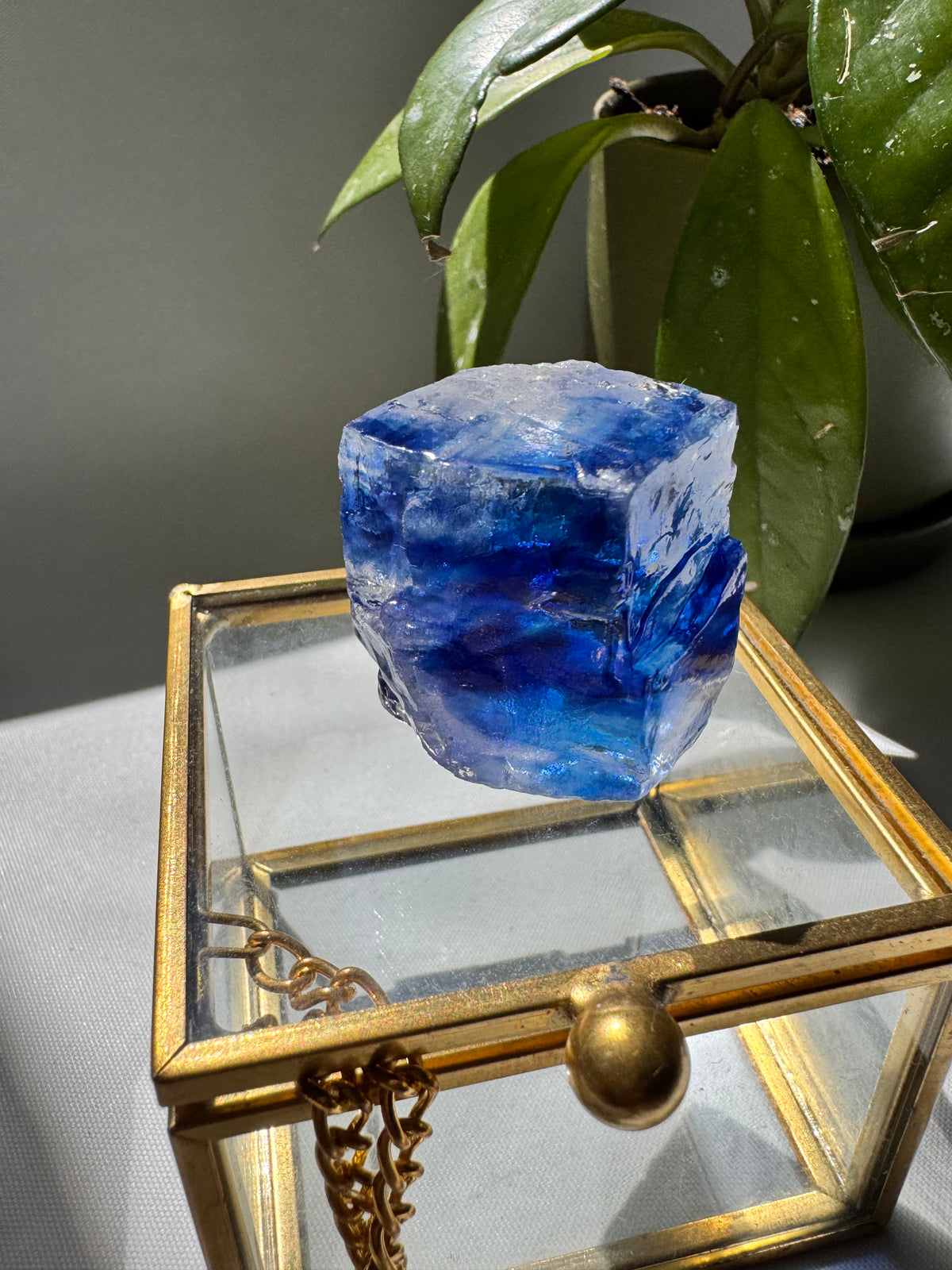 Rare Blue Halite Crystal Specimen