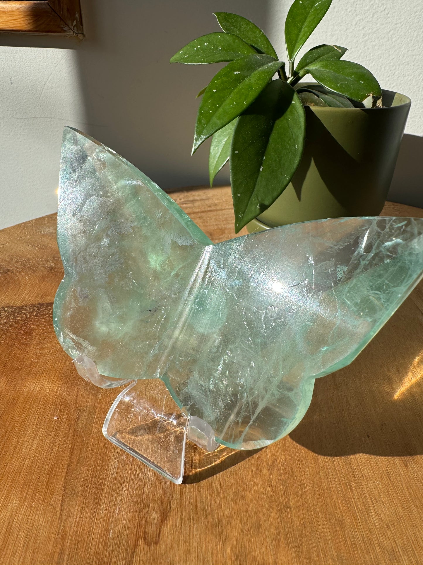 Green Fluorite 3D Butterfly #1