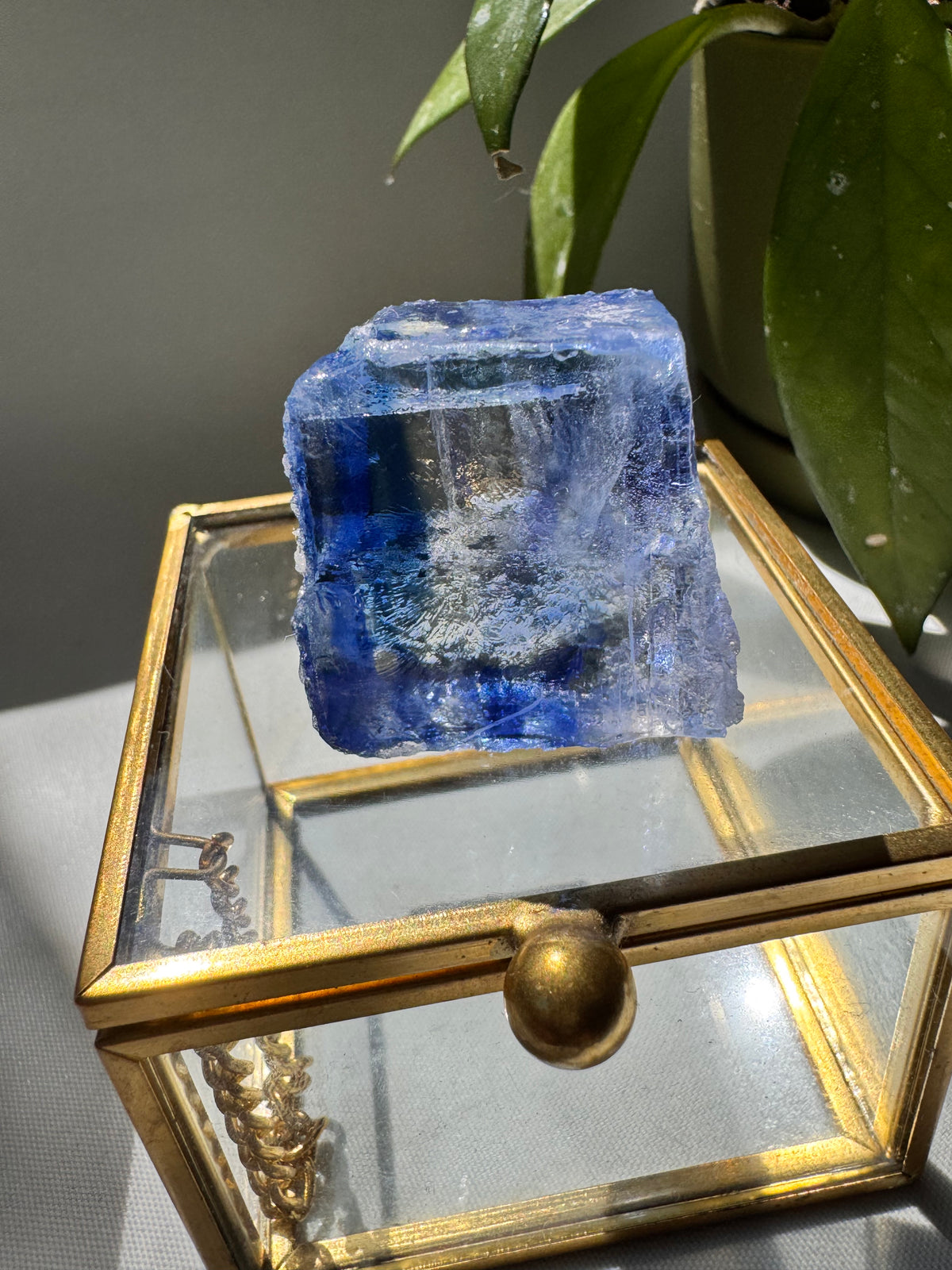 Rare Blue Halite Crystal Specimen