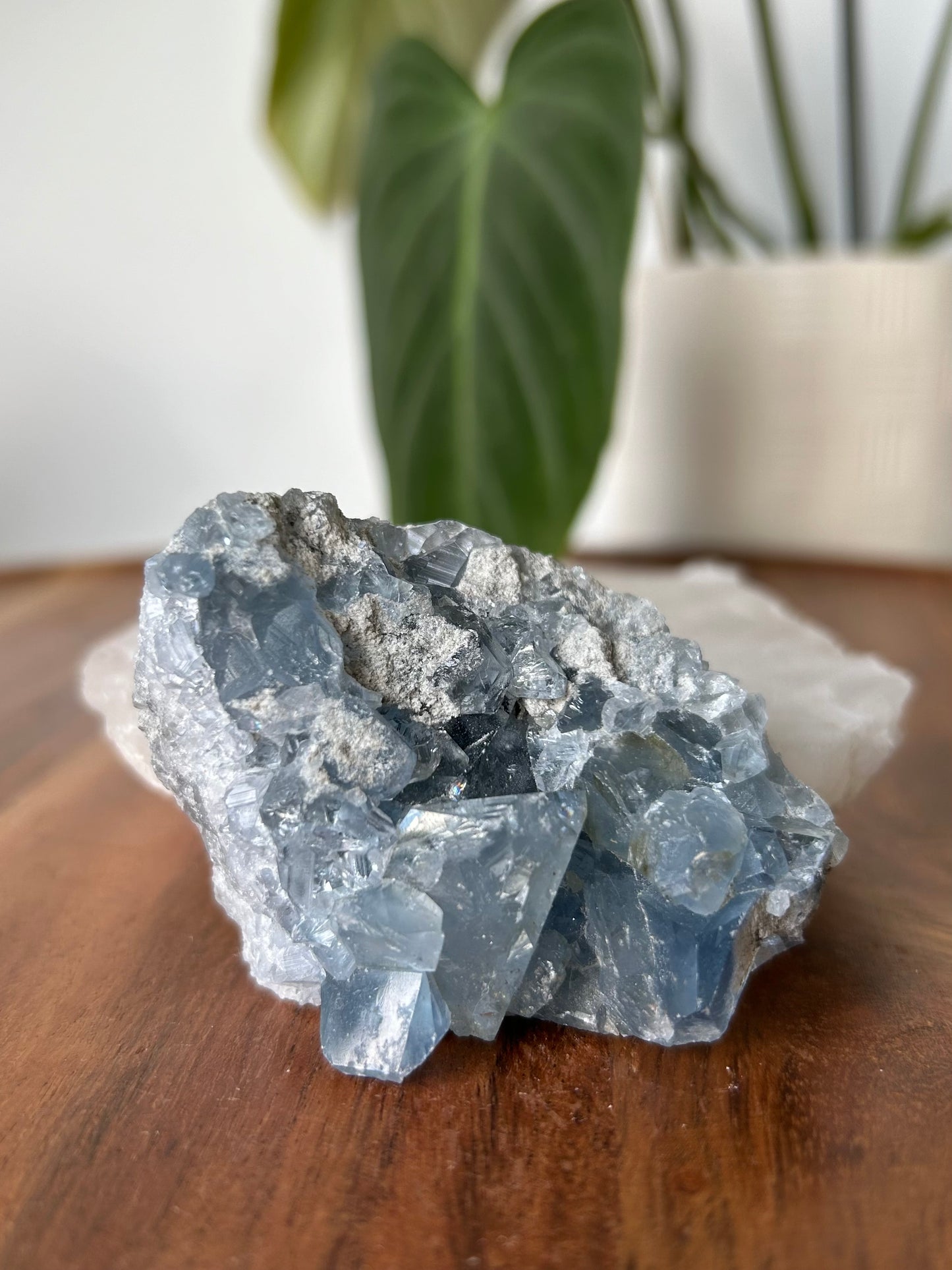 Celestite Druze Cluster #4