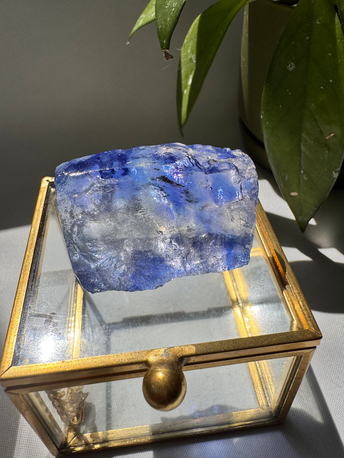 Rare Blue Halite Crystal Specimen