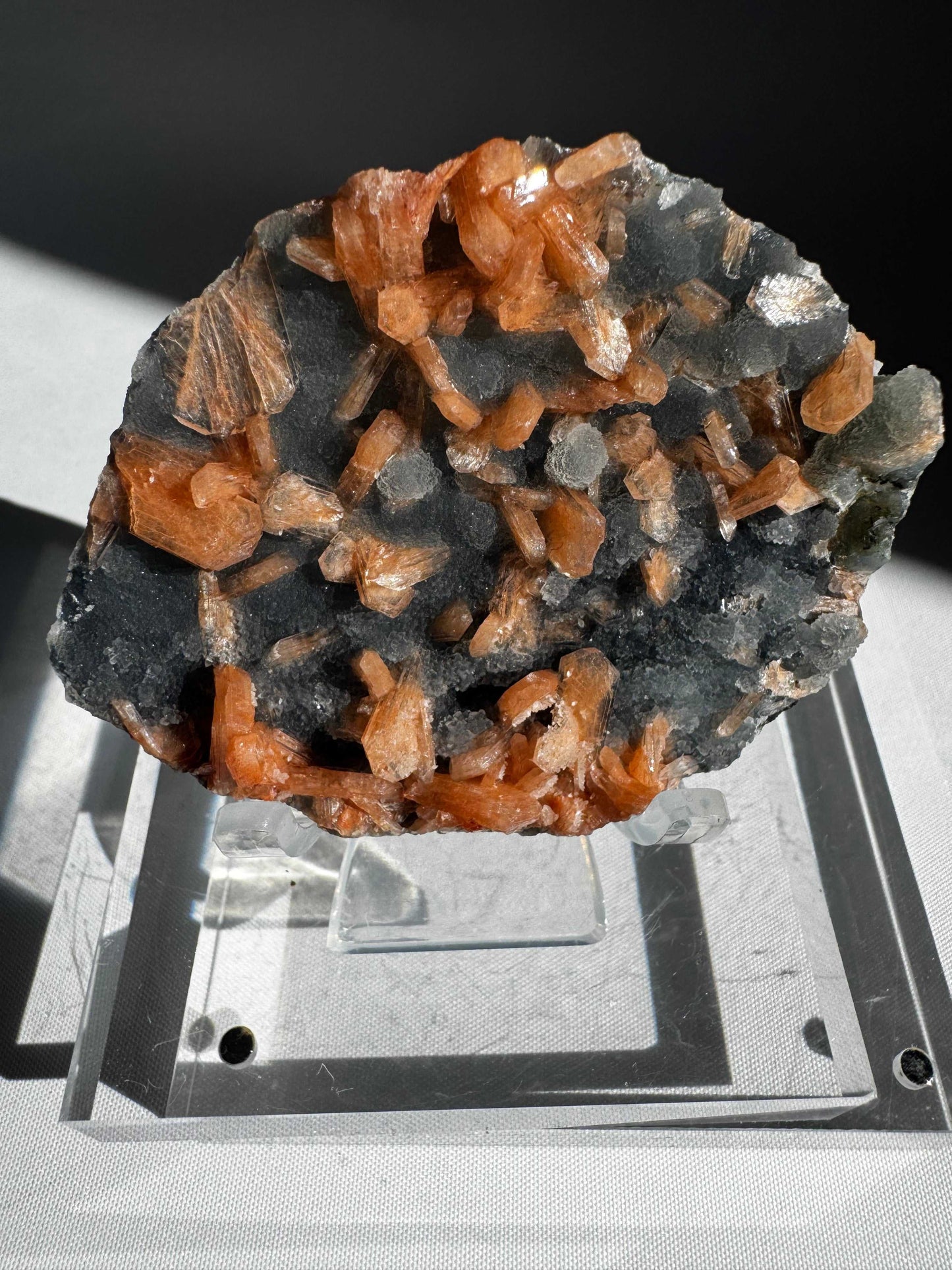 Blue Chalcedony with Orange Stilbite Crystal #7 from Nasik, India, showcasing radiant orange Stilbite crystals on a dark blue Chalcedony base.