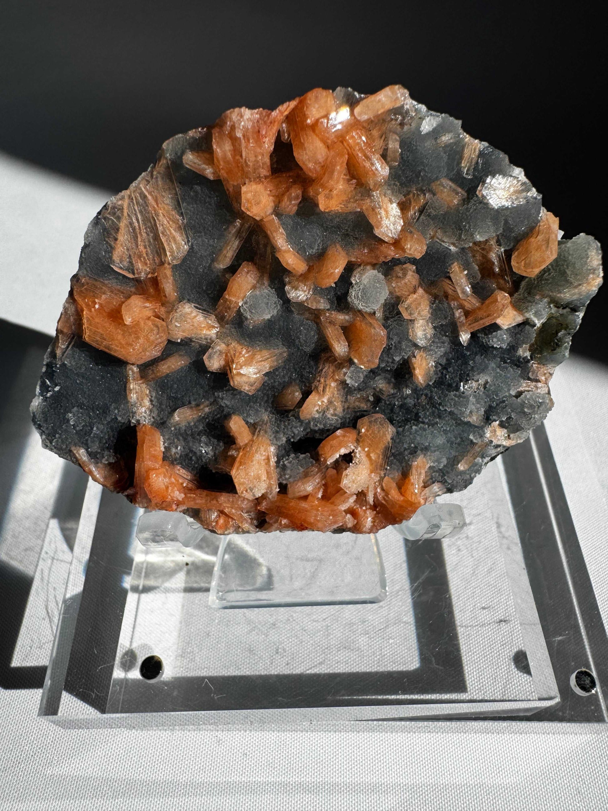 Blue Chalcedony with Orange Stilbite Crystal #7 from Nasik, India, showcasing radiant orange Stilbite crystals on a dark blue Chalcedony base.
