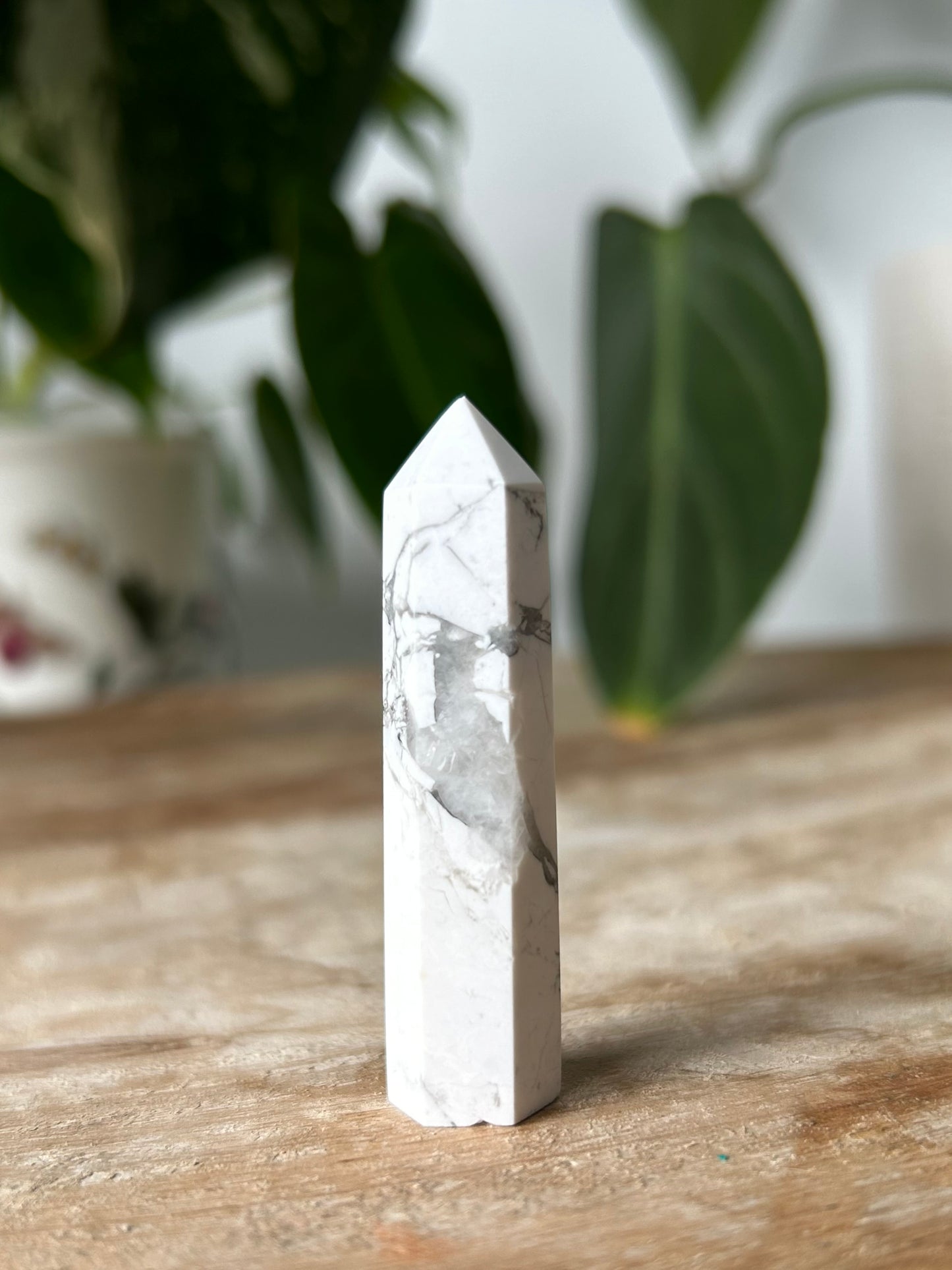 Howlite Mini Point