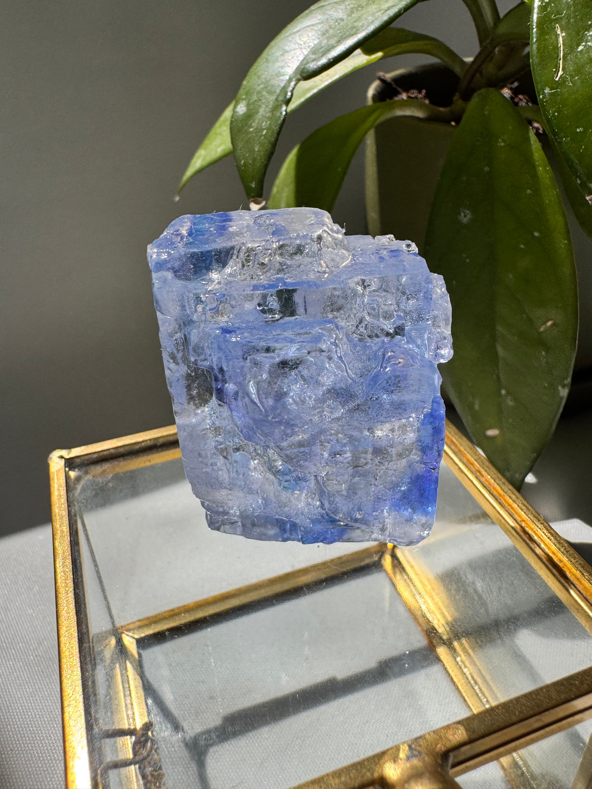 Rare Blue Halite Crystal Specimen