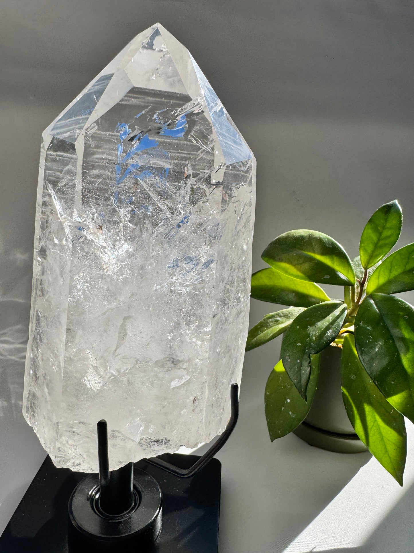 Lemurian Seed Quartz