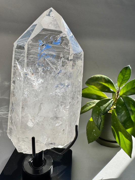 Lemurian Seed Quartz