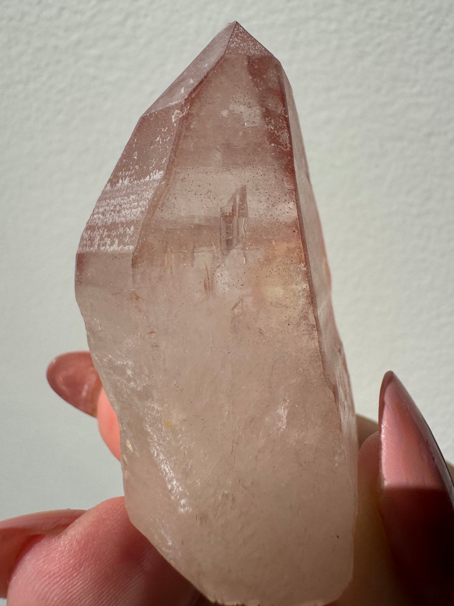 Scarlet Temple Pink Lemurian #B6