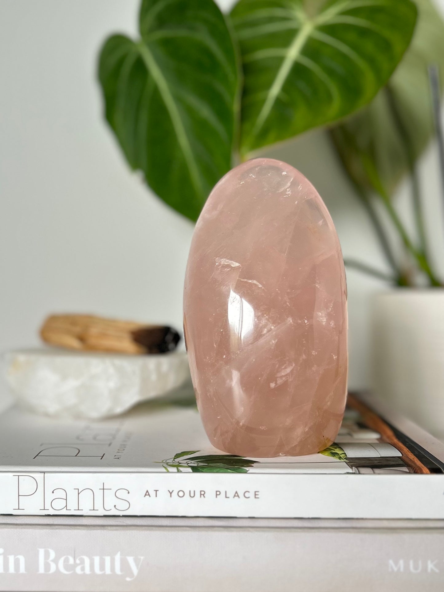 Rose Quartz Free Form