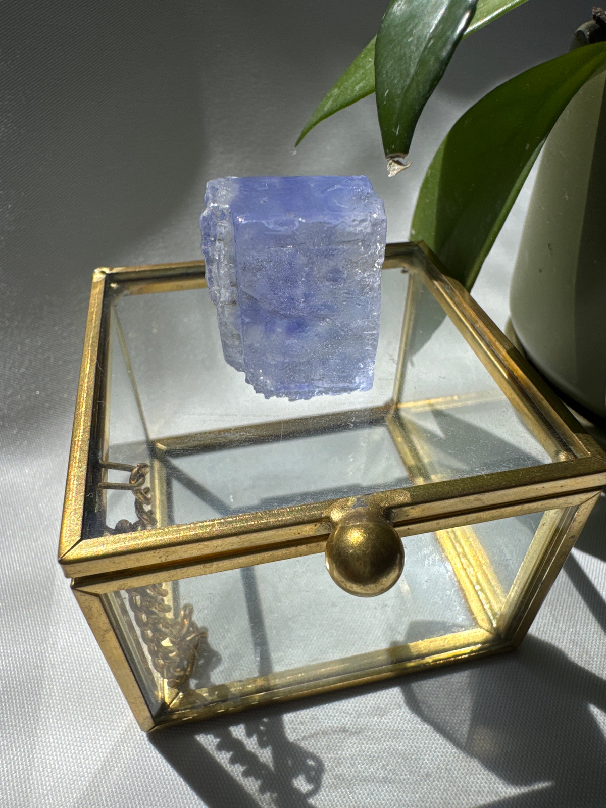 Rare Blue Halite Crystal Specimen