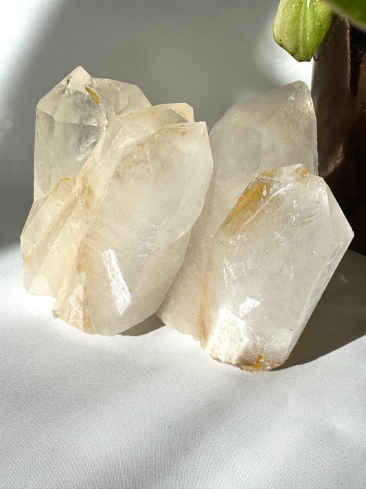 Large Lemurian Seed Quartz Cluster