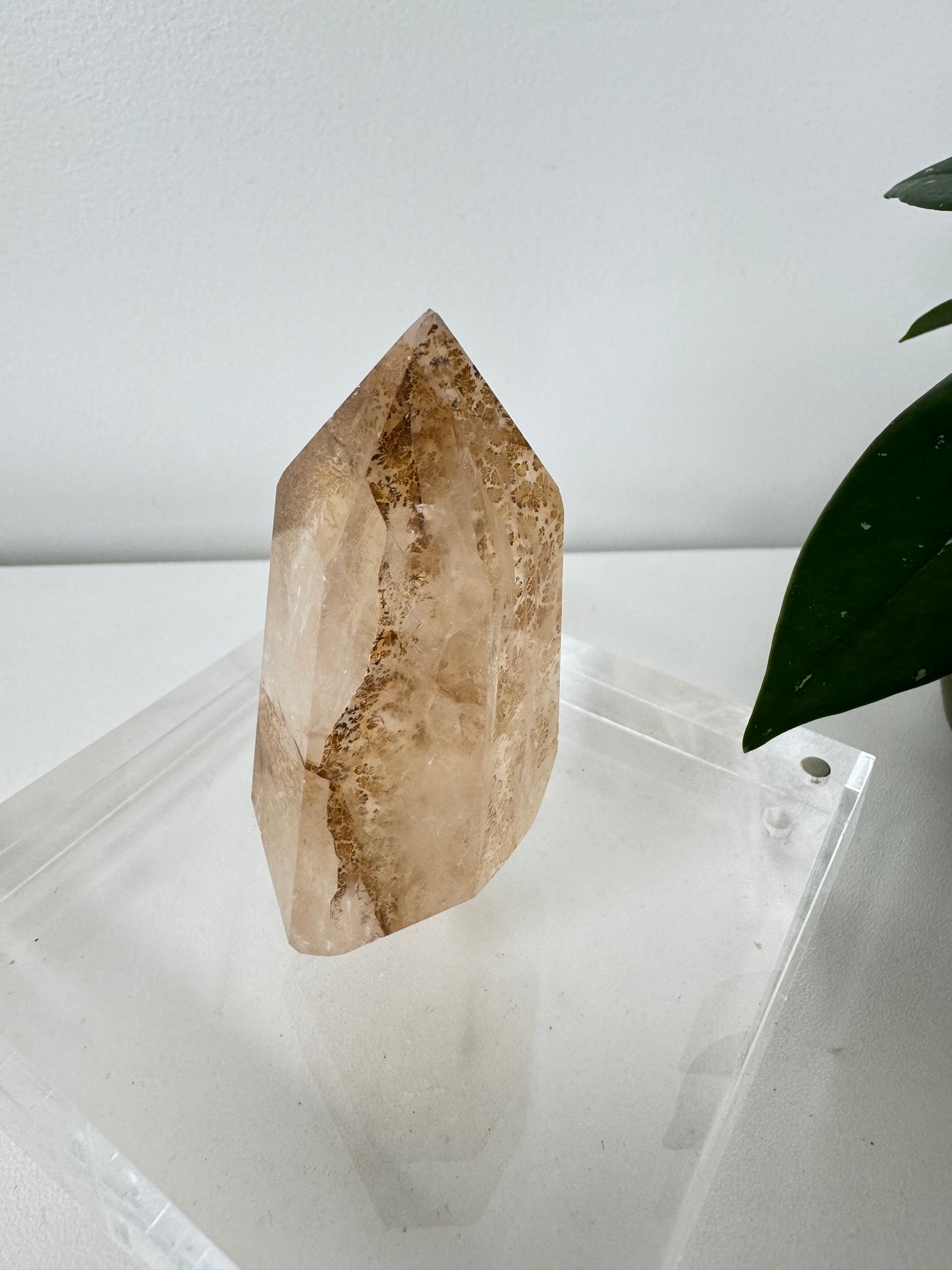 Dendritic Girasol Quartz Point