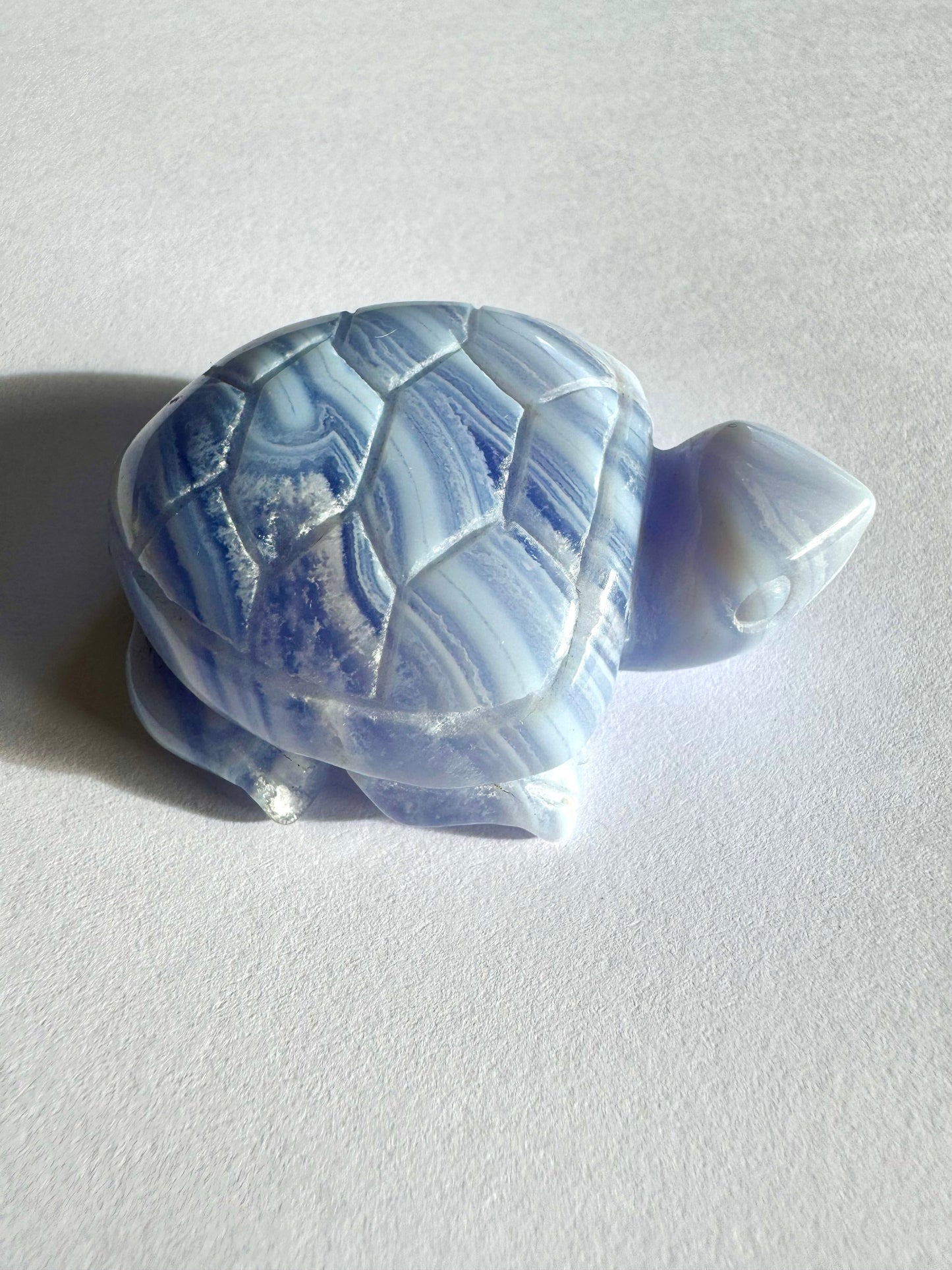 Close-up of Blue Lace Agate Crystal Turtle highlighting detailed carving and layered crystal patterns for calm and tranquility.