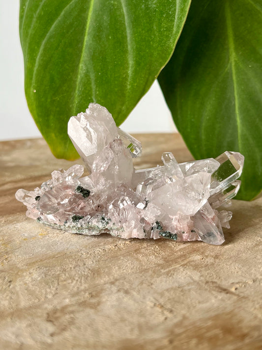 Sacred Rose Pink Lithium Quartz Cluster with Green Fuchsite