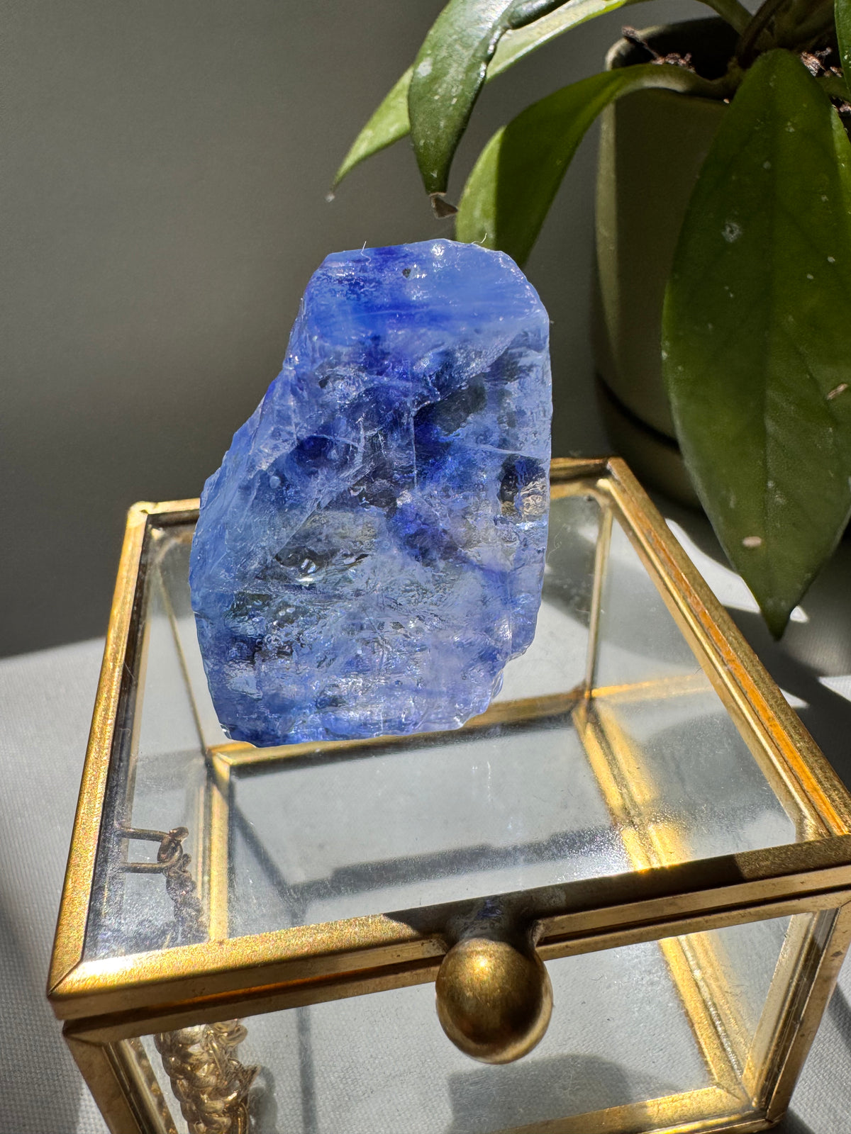 Rare Blue Halite Crystal Specimen