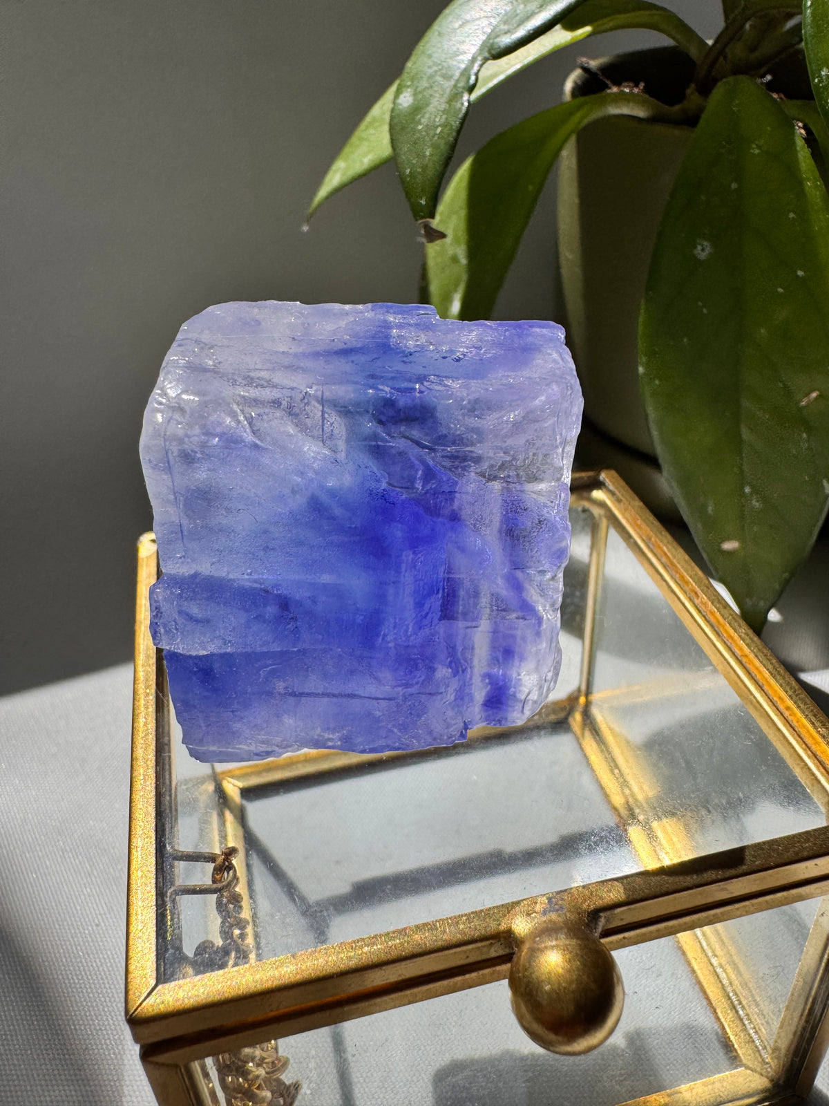 Rare Blue Halite Crystal Specimen
