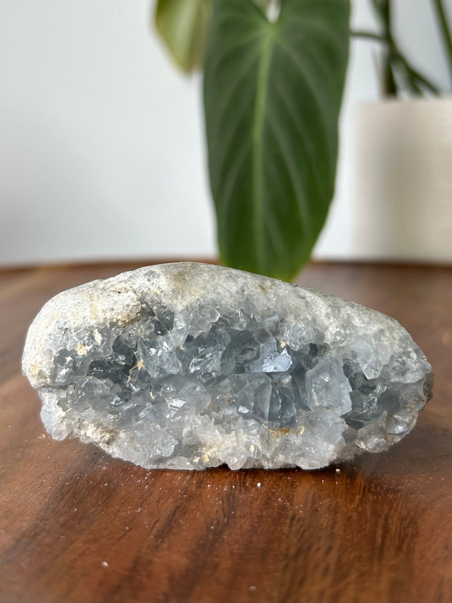 Celestite Druze Cluster #1