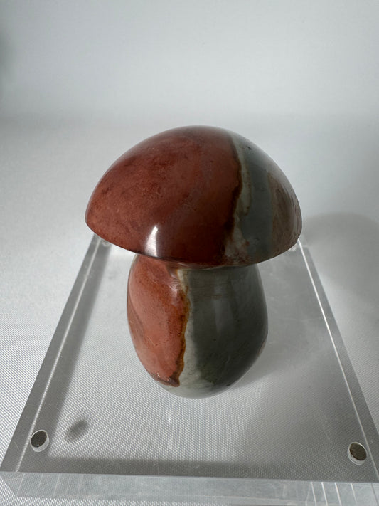 Polychrome Jasper Mushroom