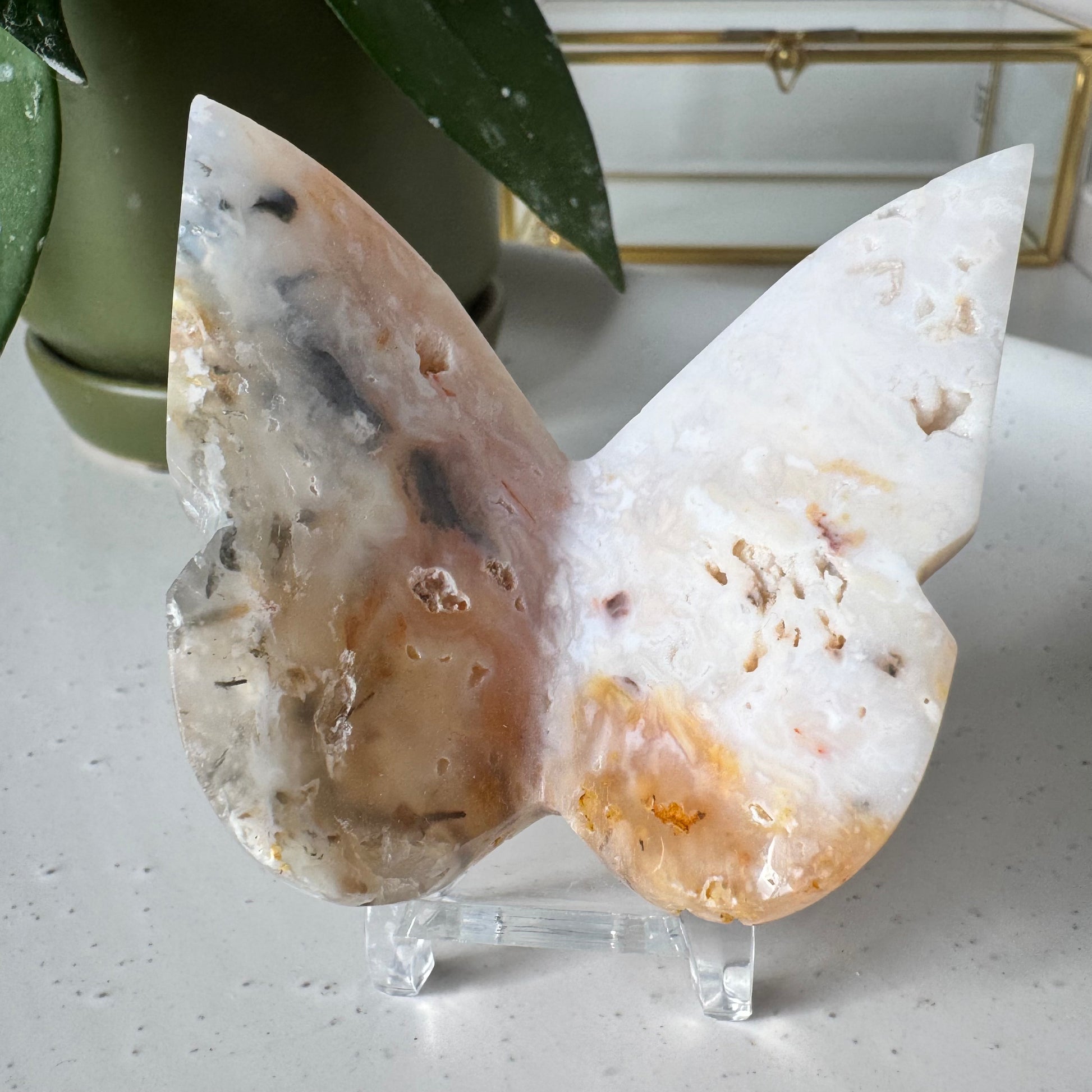 Plume Agate Butterfly | Bespoke Crystals NZ