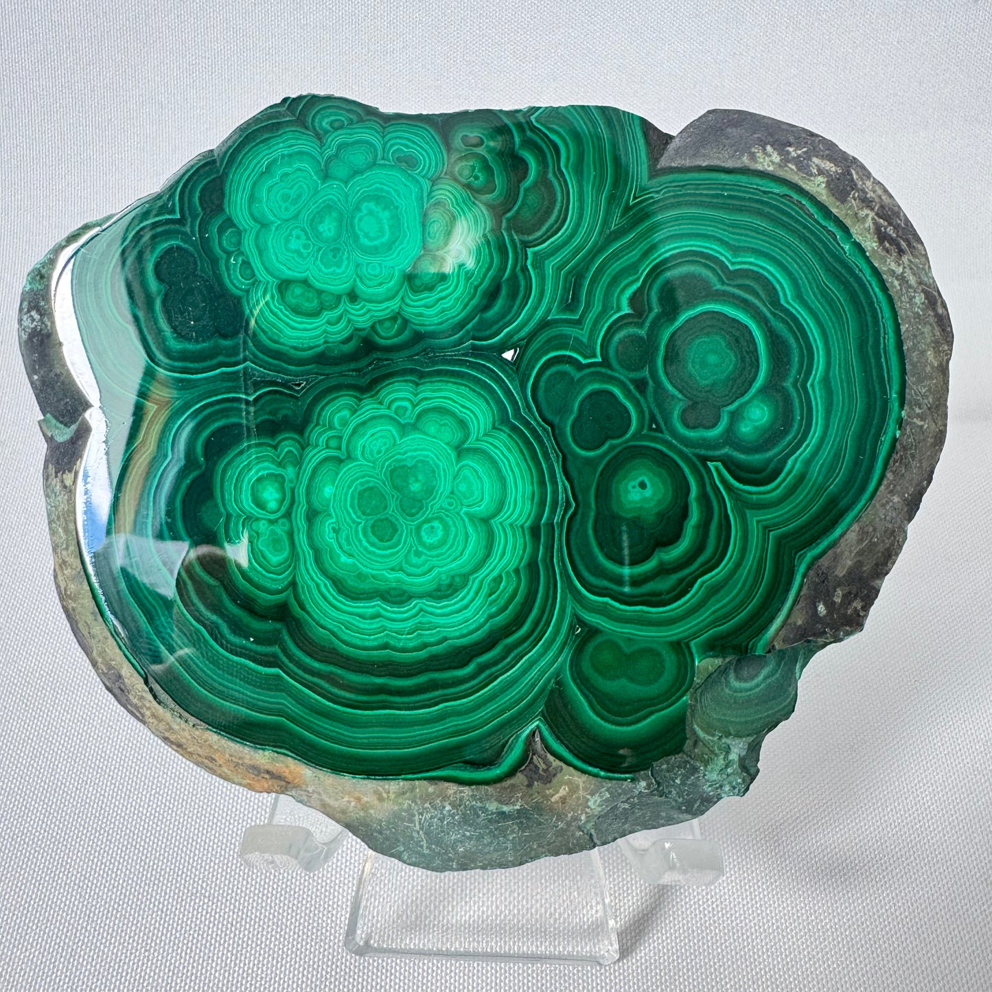 Polished Malachite Crystal Slab showcasing vibrant green concentric patterns, ideal for heart chakra healing and energy growth in crystal collections.