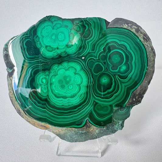 Polished Malachite Crystal Slab showcasing vibrant green concentric patterns, ideal for heart chakra healing and energy growth in crystal collections.