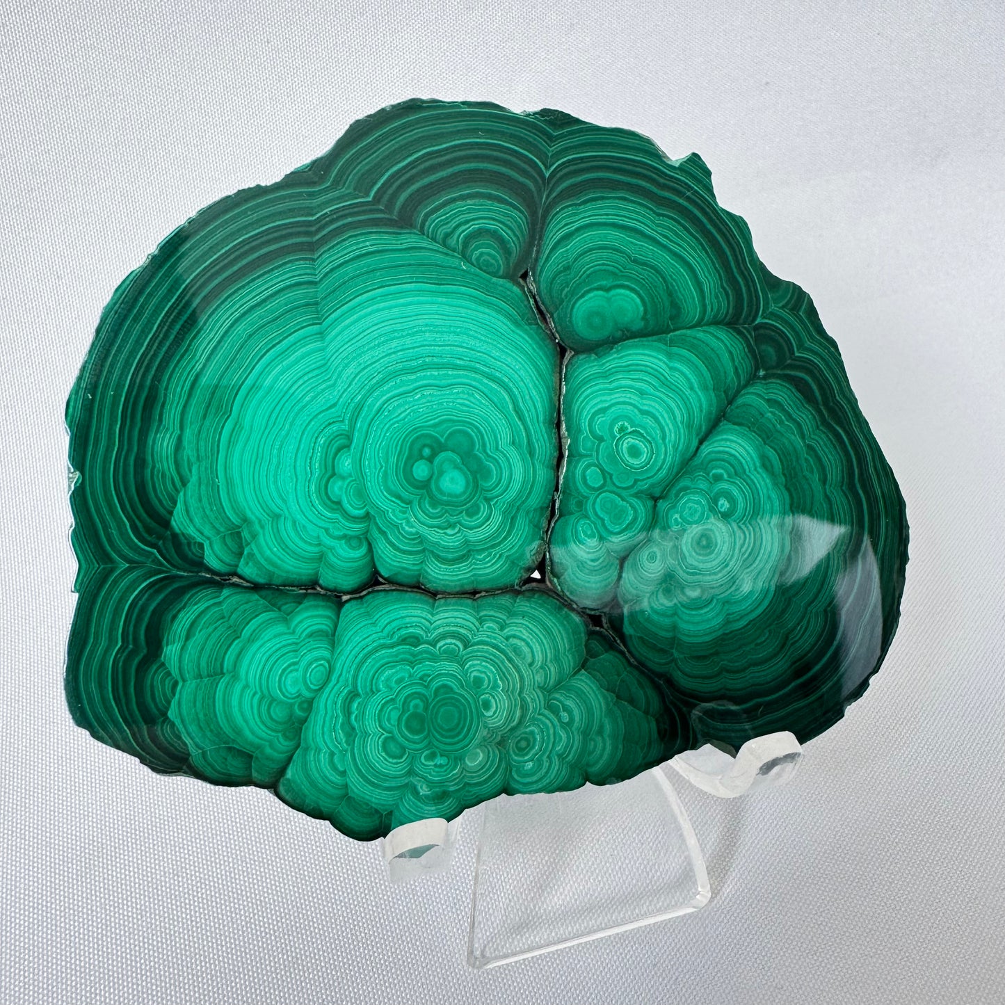 Bespoke Malachite Crystal Slab with rich green banding, perfect for collectors seeking healing stones for harmony and transformation.