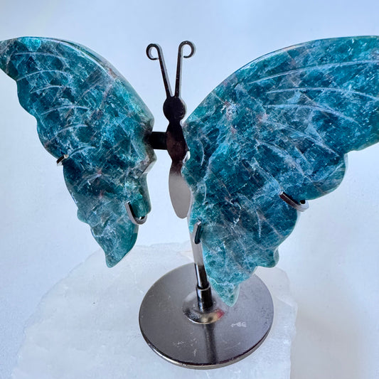 Blue Apatite Butterfly | Bespoke Crystals NZ