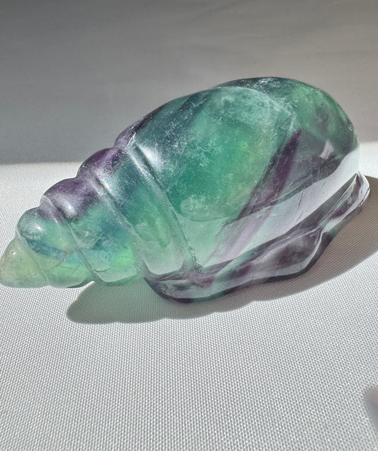 Rainbow Fluorite seashell crystal | Gemstones & crystals online nz