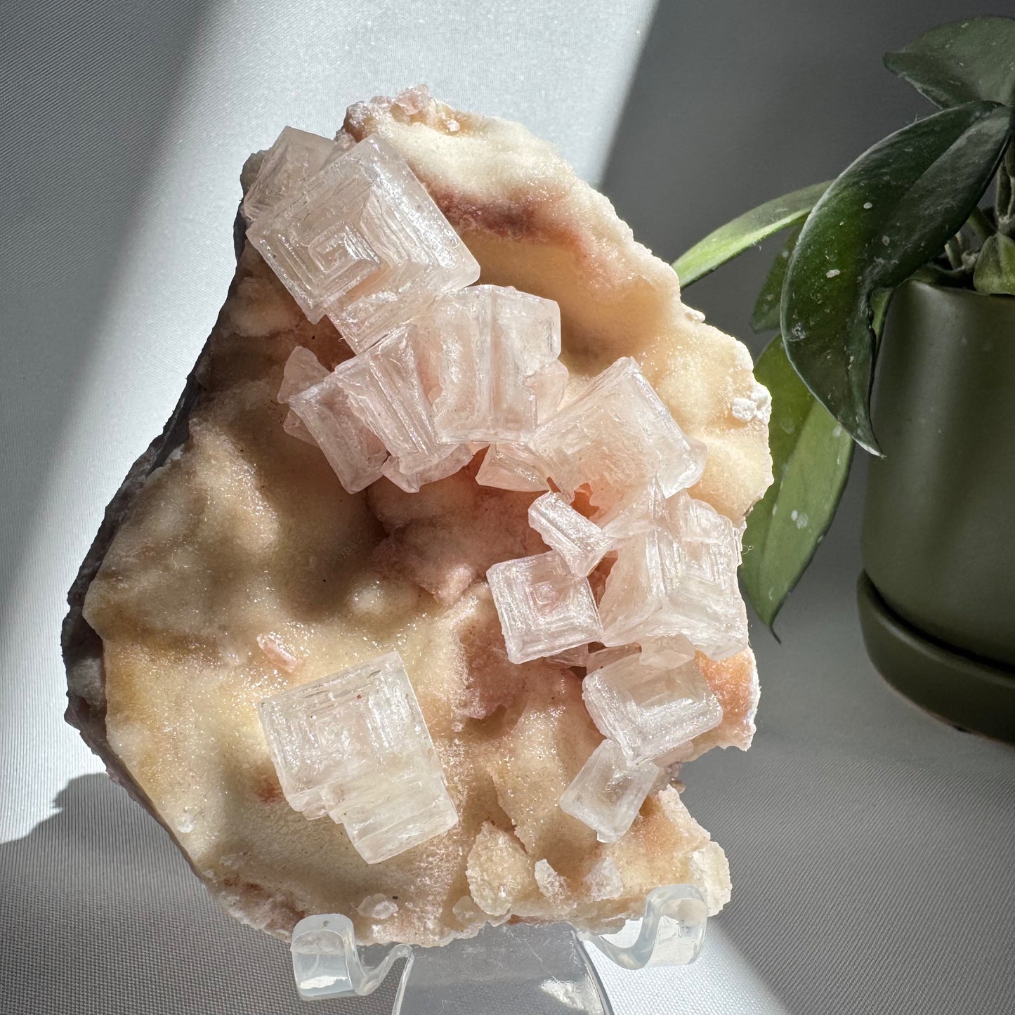 Pink Halite Crystal #9 | Bespoke Crystals