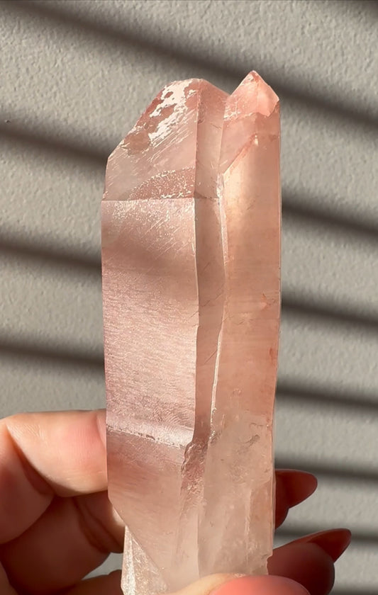 Scarlet Temple Pink Lemurian Tantric Twin #B1