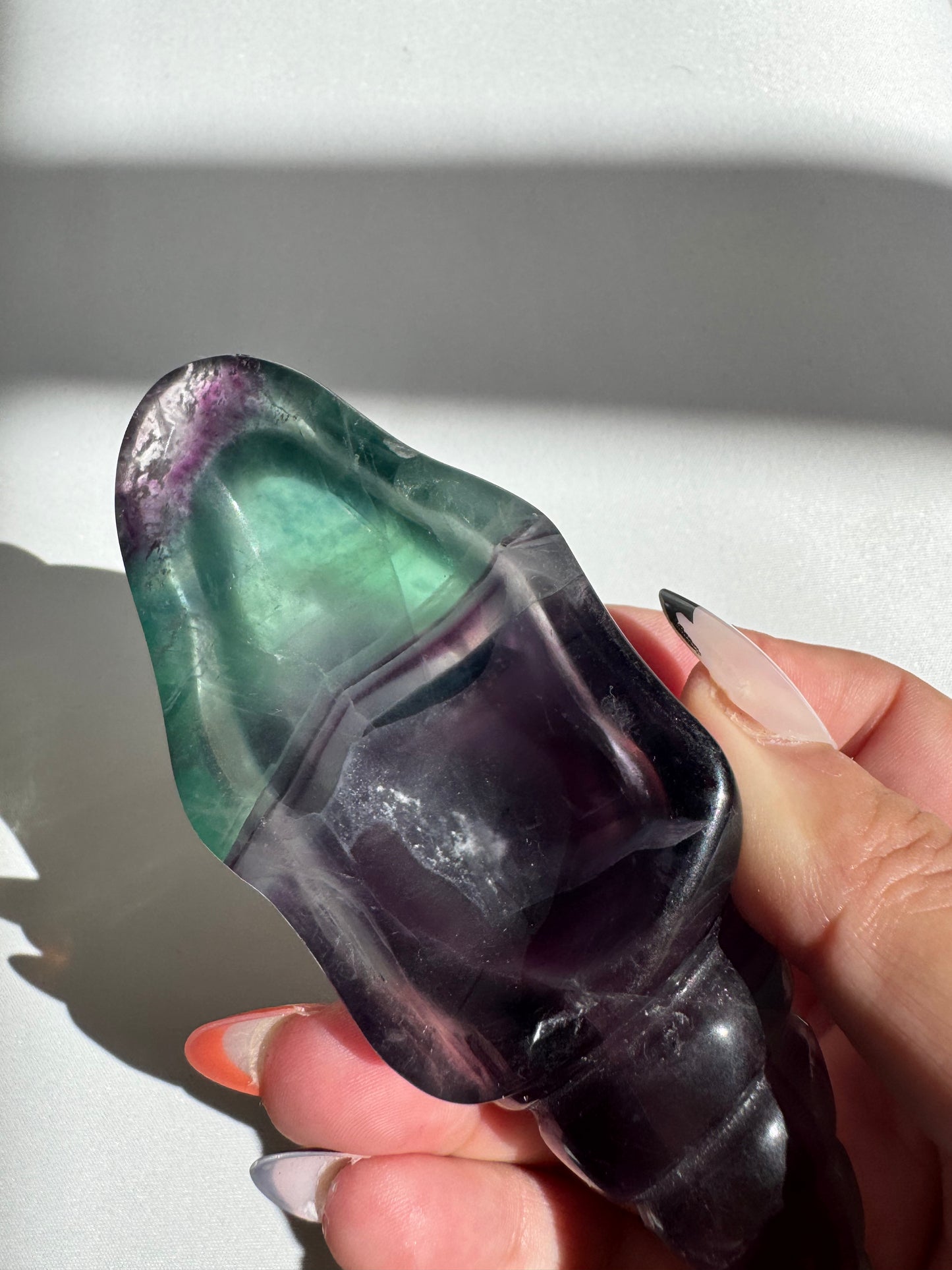Hand holding rainbow fluorite seashell crystal with vibrant colors | Buy Healing Crystals NZ