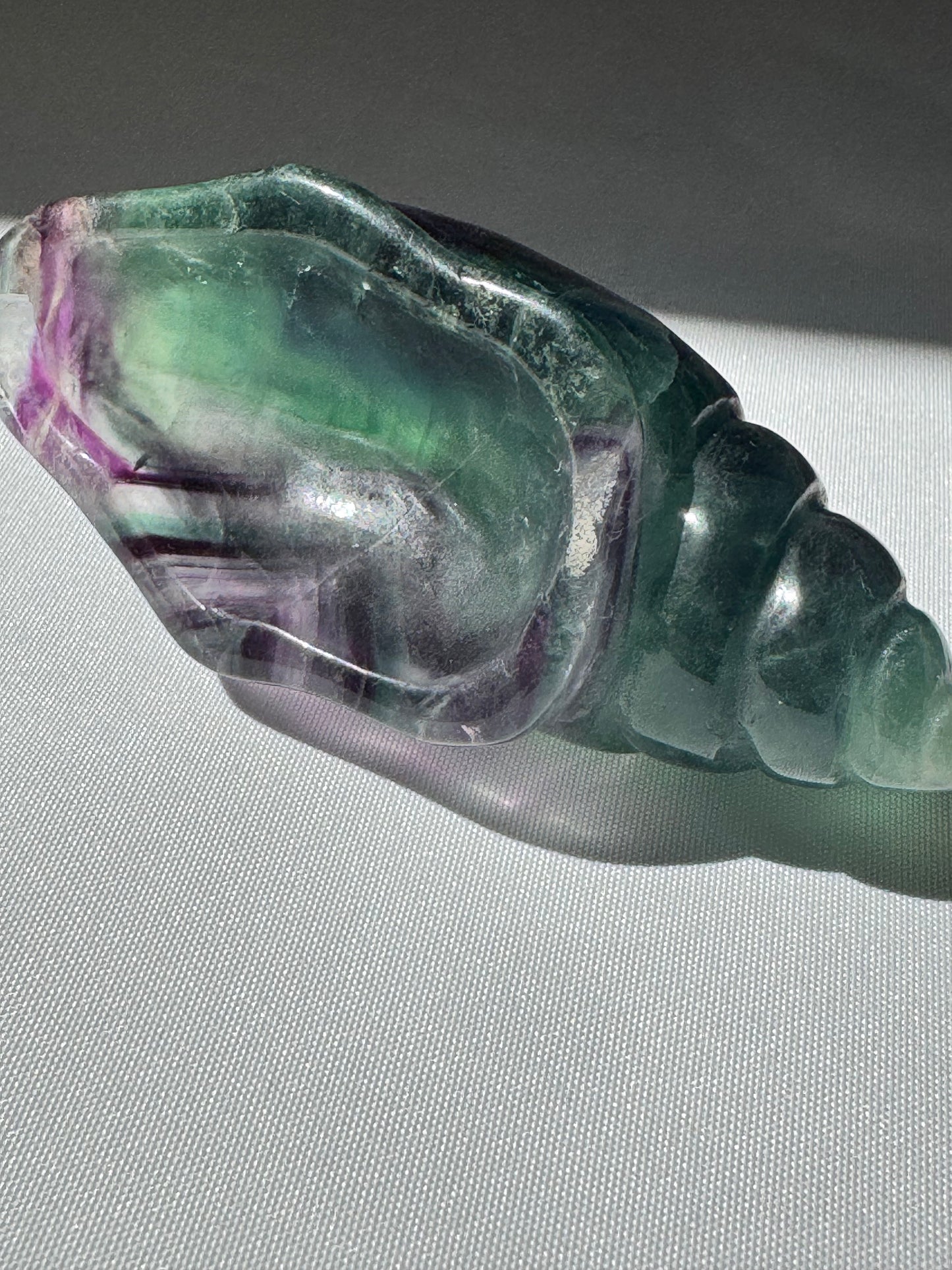 Colorful fluorite seashell gemstone | Gemstones NZ