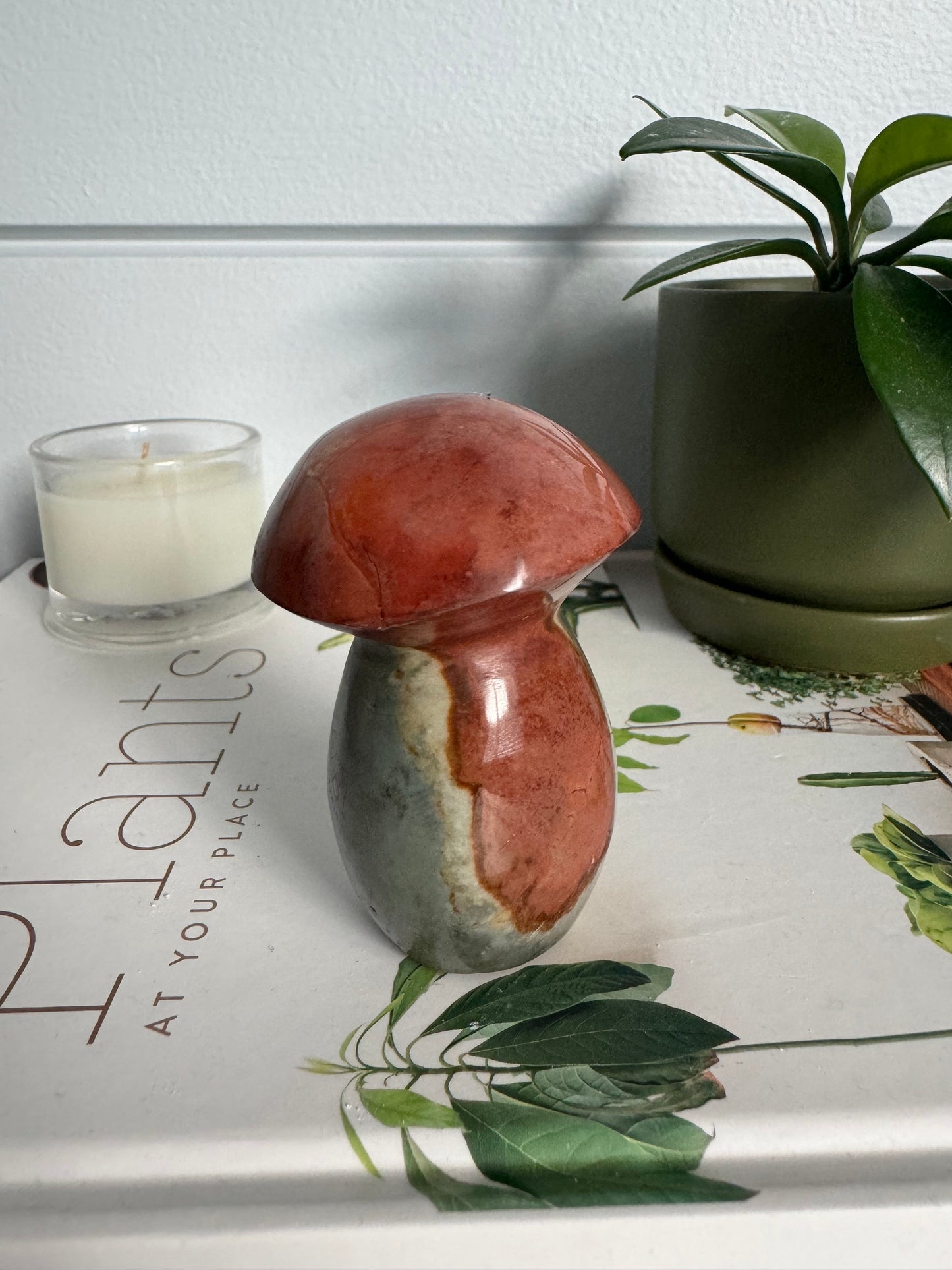 Polychrome Jasper Mushroom