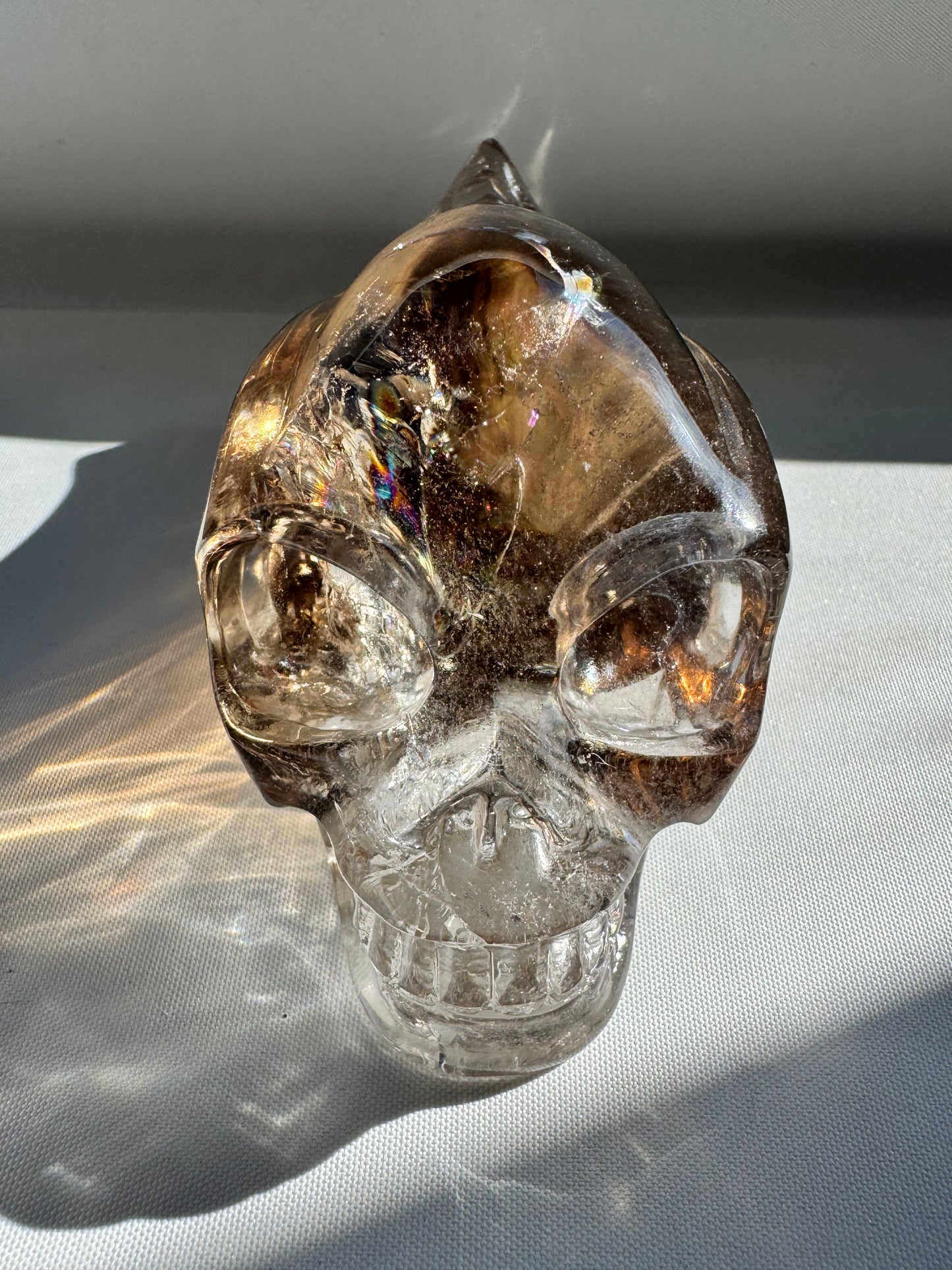 Side view of glass skull with rainbow reflections