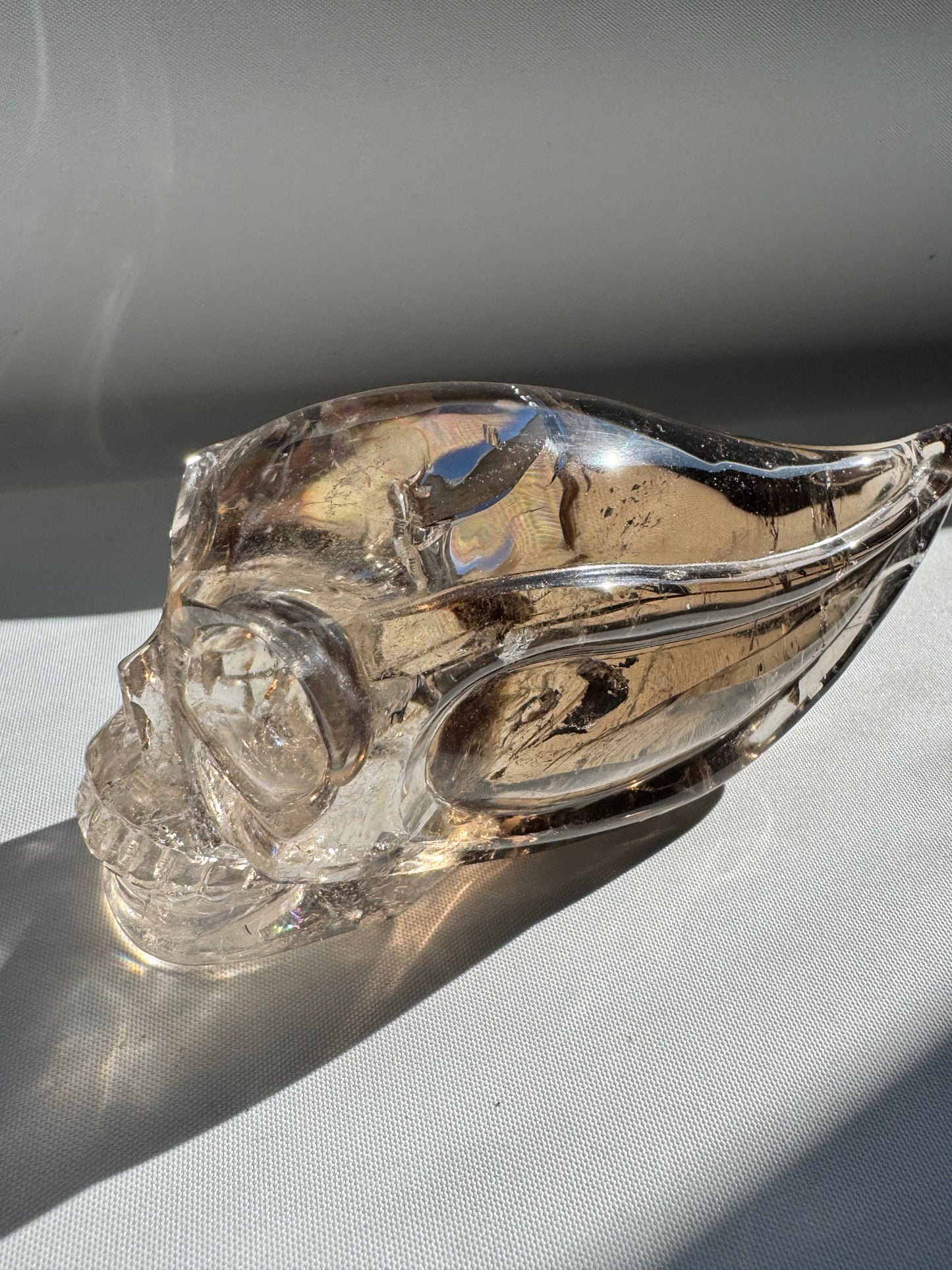 Glass skull with rainbow light and shadow effects