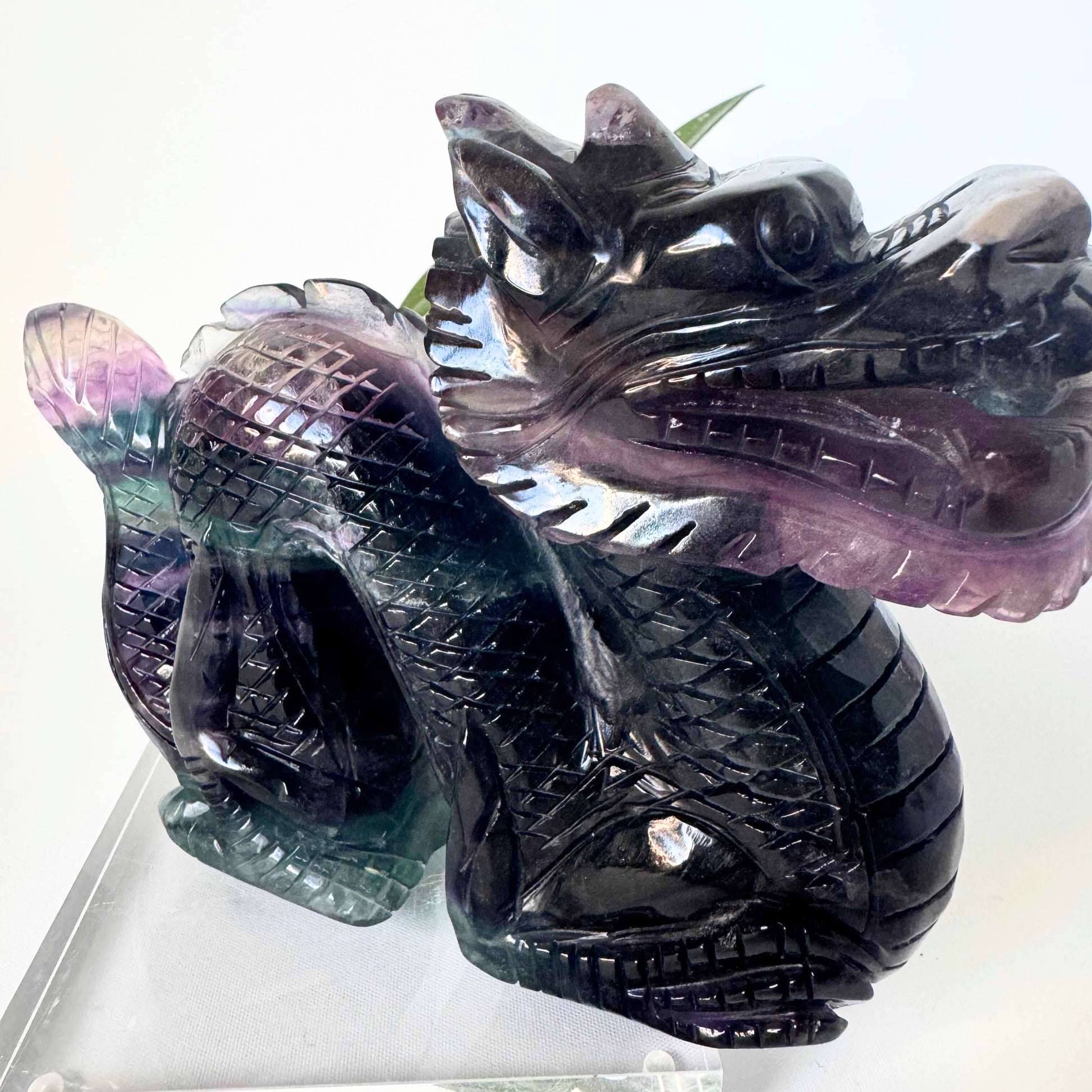 Rainbow Fluorite Crystal Dragon Carving | Bespoke Crystals NZ
