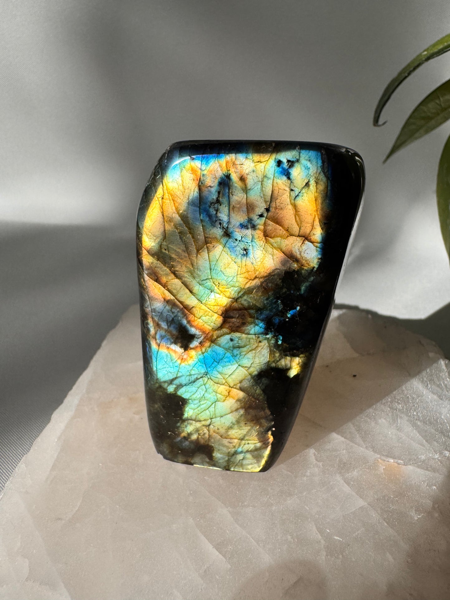 Labradorite Crystal Freeform A11