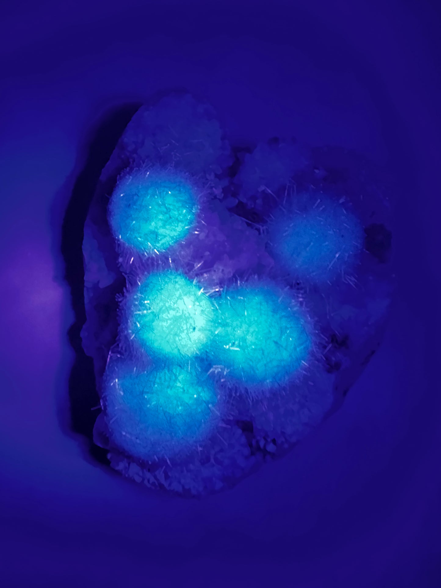 Mesolite Flowers on Apophyllite -UV Reactive